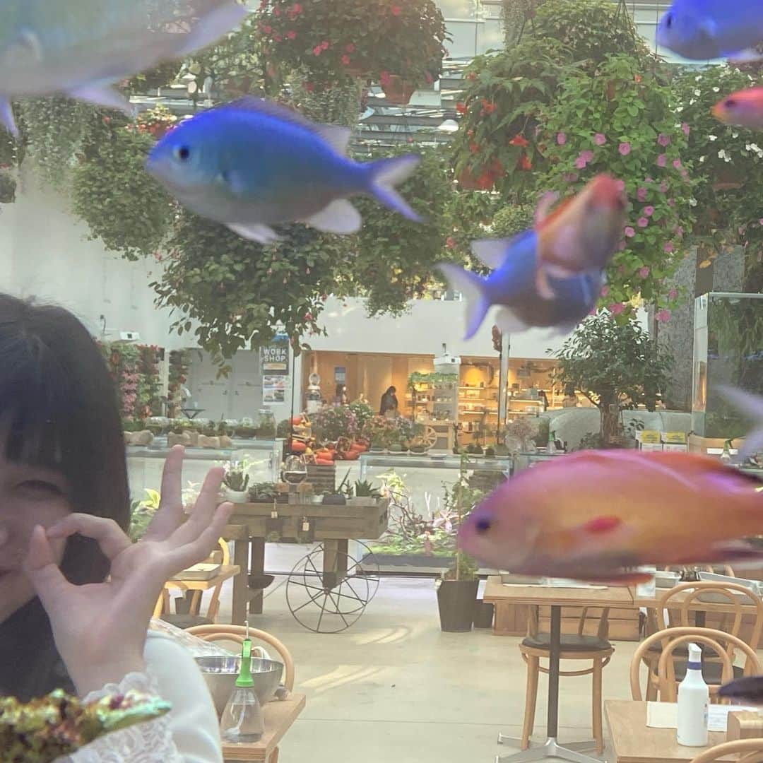 吉田華恋さんのインスタグラム写真 - (吉田華恋Instagram)「♡🐠♡  photo by @miumiu1343   #魚越し吉田 #よみうりランド」12月3日 17時54分 - karen_yoshida_8