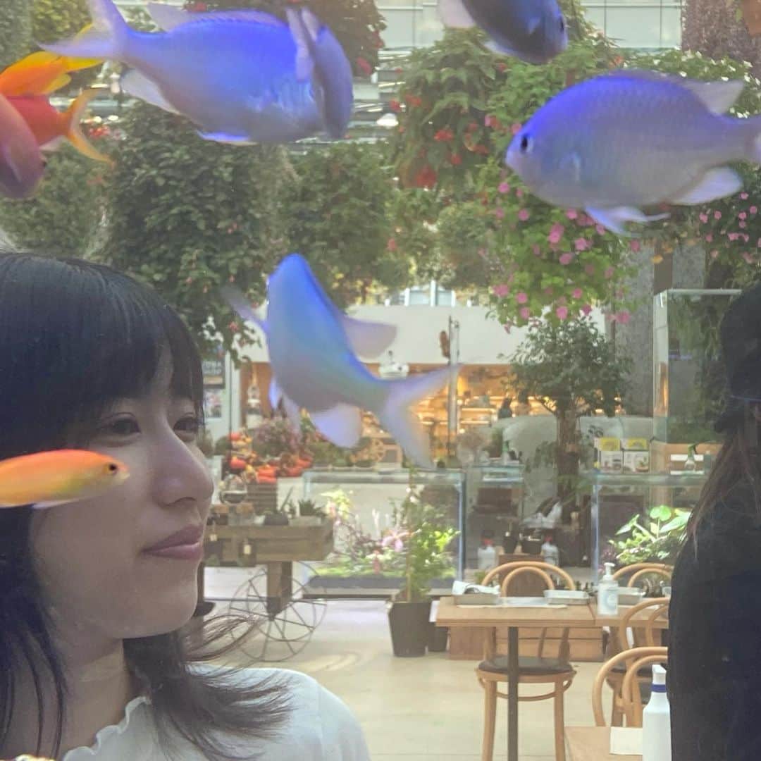 吉田華恋のインスタグラム：「♡🐠♡  photo by @miumiu1343   #魚越し吉田 #よみうりランド」
