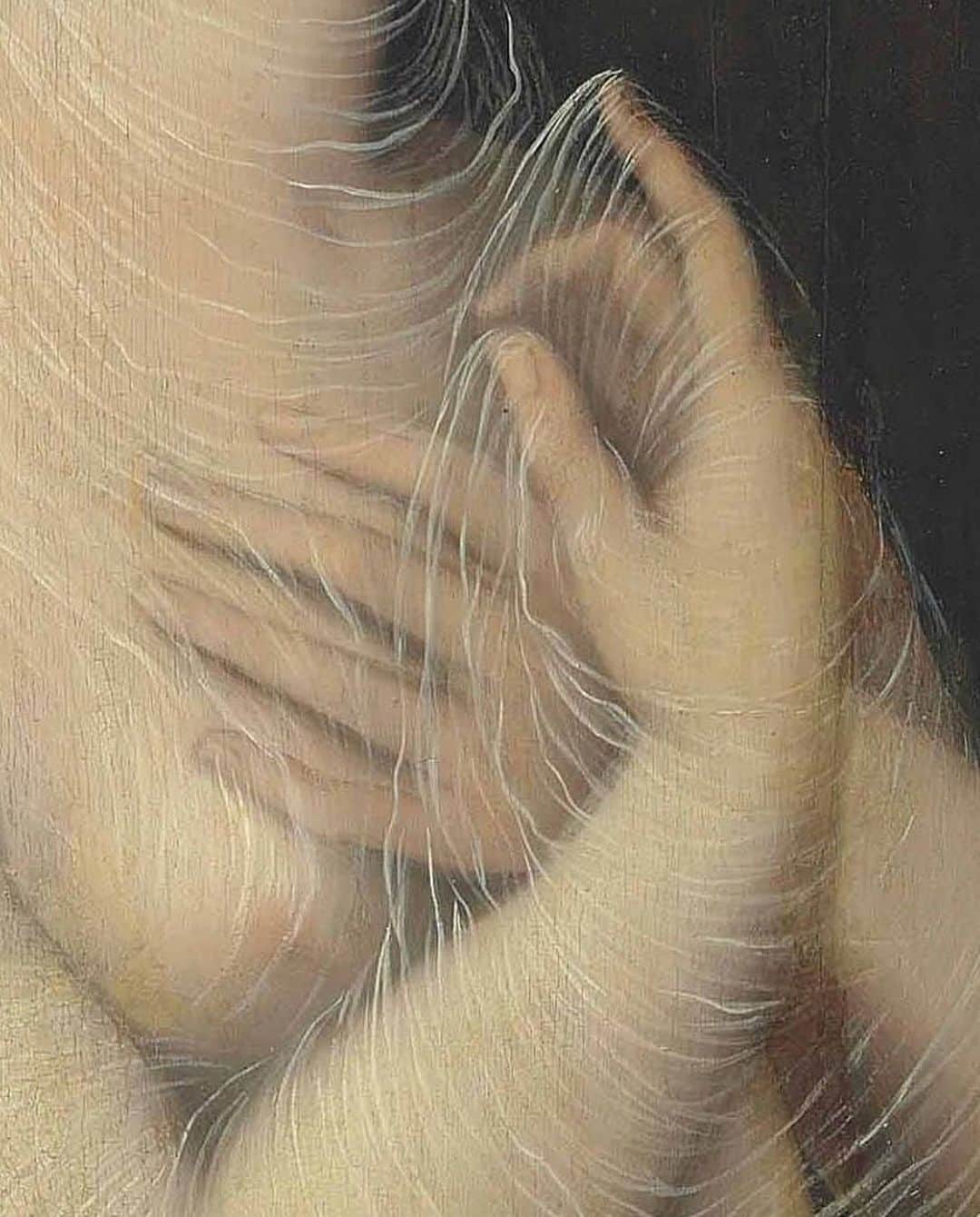 フリーダ・グスタフソンのインスタグラム：「poppaea sabina, school of fontainebleau (detail) ✨ via @marco_mansi_」