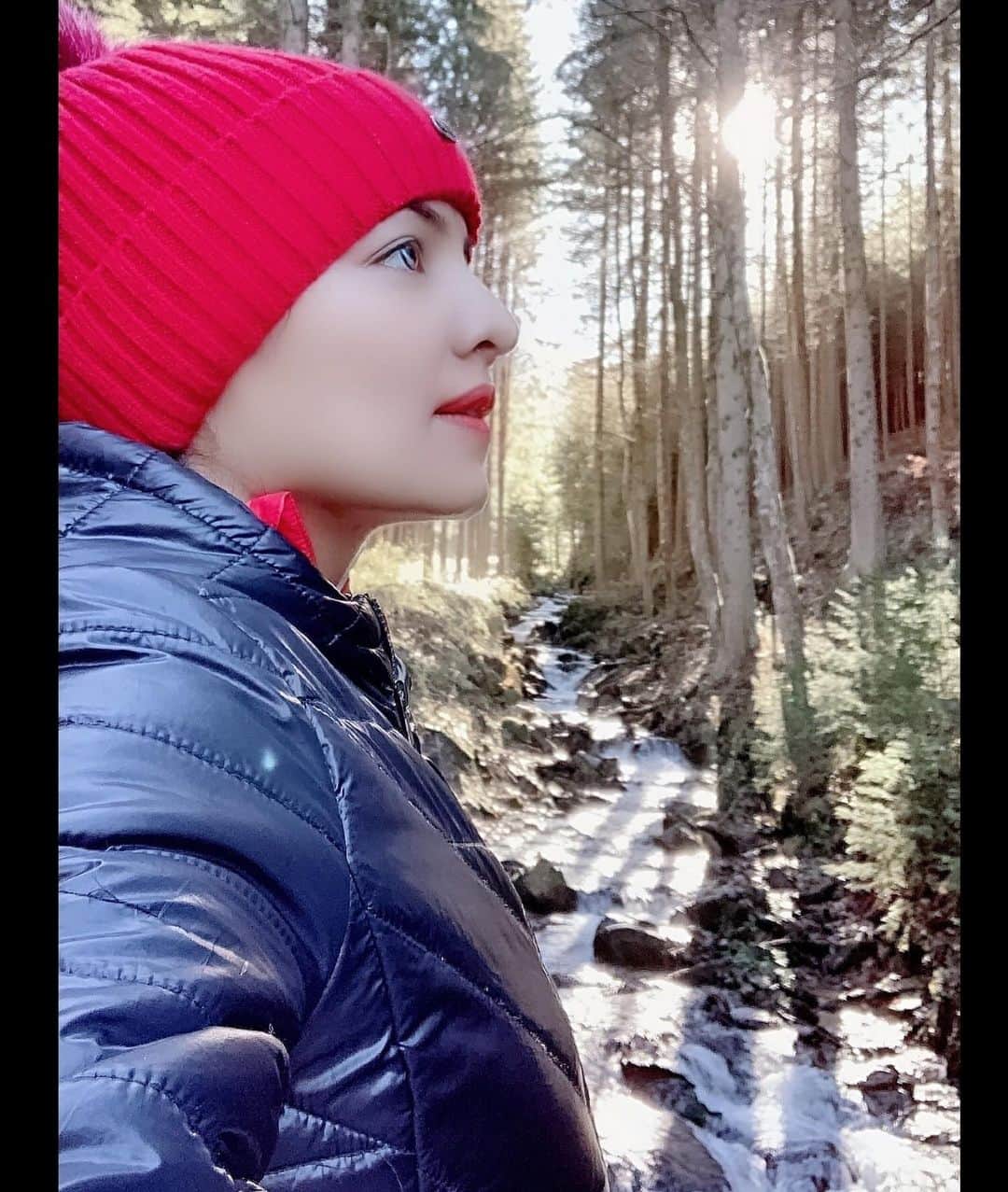 セリーナ・ジェイトリーのインスタグラム：「One last walk in Autumn, before the snow sets in... In nature, nothing is perfect and everything is perfect.....   #celinajaitly #celinajaitley #celina #austria #autumn #winter #snowiscoming #forest #forestwalk #forestsofaustria #nature #bollywood #beautyqueen #missindia #missuniverse #naturephotography #austria #austriangirl #ilovenature #gratitude #2020」