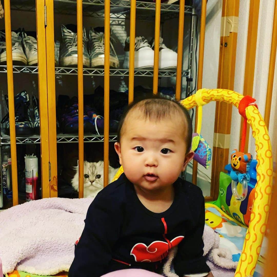 SATOKOさんのインスタグラム写真 - (SATOKOInstagram)「#背後霊 #babyandcat #赤ちゃんと猫 赤ちゃん撮ったら大体うしろにいるよね」12月3日 18時20分 - fc_satoko