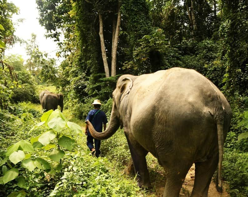 タイ国政府観光庁のインスタグラム