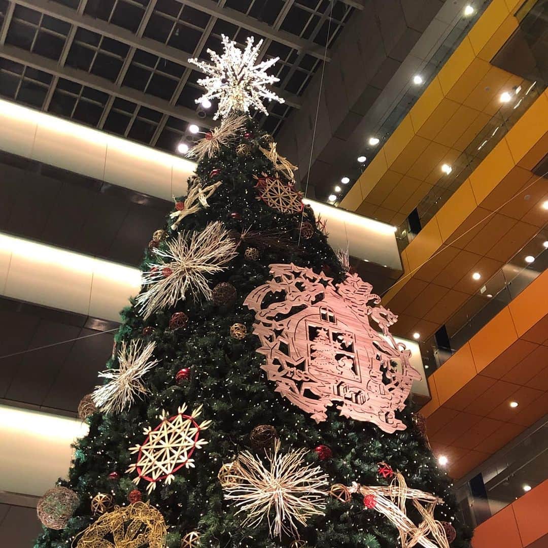 堀江一眞さんのインスタグラム写真 - (堀江一眞Instagram)「スタジオ内や街角でもクリスマスツリーが目立つようになりましたね〜😳🎄✨サンタさんからのプレゼントはもはや無いですがw、それでも幼い頃の想い出や習慣もあって、クリスマスはなんかワクワクしますね☺️✨✨  #クリスマス #クリスマスツリー」12月3日 18時56分 - kazuma.horie