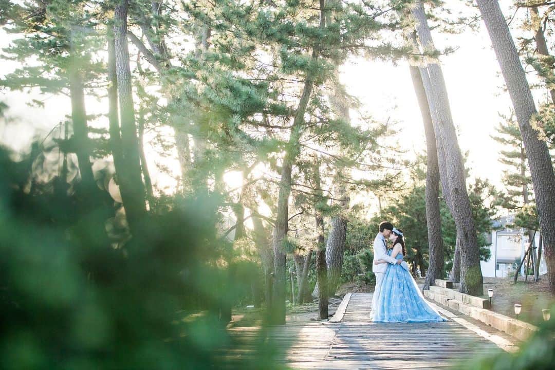 指帆亭のグルメインスタ