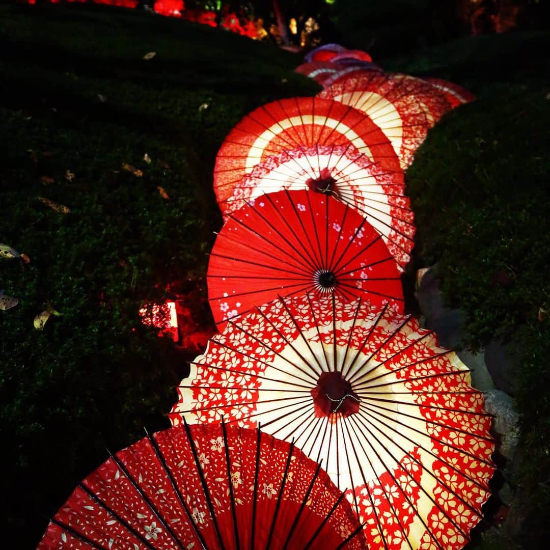 八芳園さんのインスタグラム写真 - (八芳園Instagram)「12月15日(火)まで開催の TOKYO RED GARDEN 2020🍁 . 明日12月4日(金)は、 ライトアップされた庭園で お酒やカナッペをお愉しみいただける GARDEN BARの開催日。 . BARの開催に合わせて 和傘のライトアップも設置いたします。 . GARDEN BARの開催も 残すところあと４回となりました。 . 今年最後の紅葉を、 港区白金台 八芳園にてお愉しみください。 . .  . .  #八芳園 #結婚式場 . #日本庭園 #自然 #紅葉 #紅葉スポット #紅葉ライトアップ #秋　#風景写真 #港区 #紅葉狩り  . #東京観光  #東京カメラ部  #自然が好き #写真好き  #写真好きな人と繋がりたい  #カメラ好きな人と繋がりたい  #風景写真を撮るのが好きな人と繋がりたい  #その瞬間に物語を  . #和装結婚式 #プレ花嫁 #式場探し #プレ花嫁さんと繋がりたい . #japanesegarden  #tokyotrip  #forbestravelguide #photostagram  #tokyotokyo  #東京をもっと楽しもう」12月3日 19時15分 - happoen