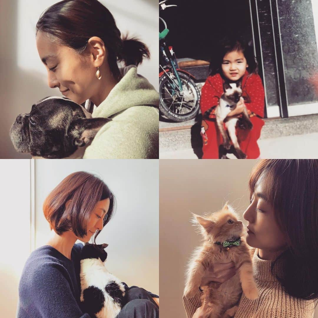 宮本えりさんのインスタグラム写真 - (宮本えりInstagram)「そ ずーっと居たの 生活の中にね  #犬も#猫も#なんなら#みどりがめも#カルガモも#笑#金魚も＃ナマズも＃数え上げたら#キリがない」12月3日 19時27分 - eri.m.nene