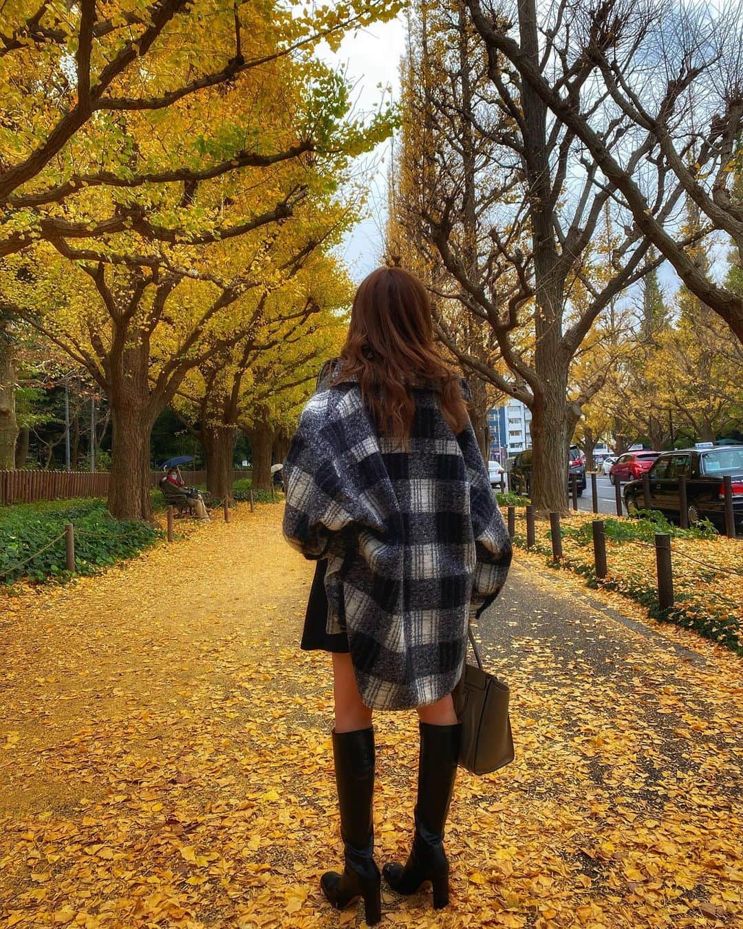 FukamizuYukina さんのインスタグラム写真 - (FukamizuYukina Instagram)「_ イチョウ並木🍁🍂🧡 ㅤㅤㅤㅤㅤㅤㅤㅤㅤㅤㅤㅤㅤ ㅤㅤㅤㅤㅤㅤㅤㅤㅤㅤㅤㅤㅤ だいぶ散ってた🥲けど←笑 ㅤㅤㅤㅤㅤㅤㅤㅤㅤㅤㅤㅤㅤ ㅤㅤㅤㅤㅤㅤㅤㅤㅤㅤㅤㅤㅤ 紅葉シーズン終わりかけてるけど まだ色付いてるとこ残ってたら 行きたいなぁ、💭🧡 ㅤㅤㅤㅤㅤㅤㅤㅤㅤㅤㅤㅤㅤ ㅤㅤㅤㅤㅤㅤㅤㅤㅤㅤㅤㅤㅤ ルルナも今月で最後のワクチン💉 終わったらたくさんお散歩出来るとこ 連れてってあげたいの🐶🎶 ㅤㅤㅤㅤㅤㅤㅤㅤㅤㅤㅤㅤㅤ ㅤㅤㅤㅤㅤㅤㅤㅤㅤㅤㅤㅤㅤ 都内でペット可レストランやカフェ 知ってたら教えてくださいなっ🥨🥐☕️ ㅤㅤㅤㅤㅤㅤㅤㅤㅤㅤㅤㅤㅤ ㅤㅤㅤㅤㅤㅤㅤㅤㅤㅤㅤㅤㅤ #外苑前いちょう並木 #いちょう並木 #秋コーデ #ワンピース #ブーツコーデ #ロングブーツ #zara #emoda #acym #celine #サロモ #撮影依頼募集中」12月3日 19時24分 - peitaro72