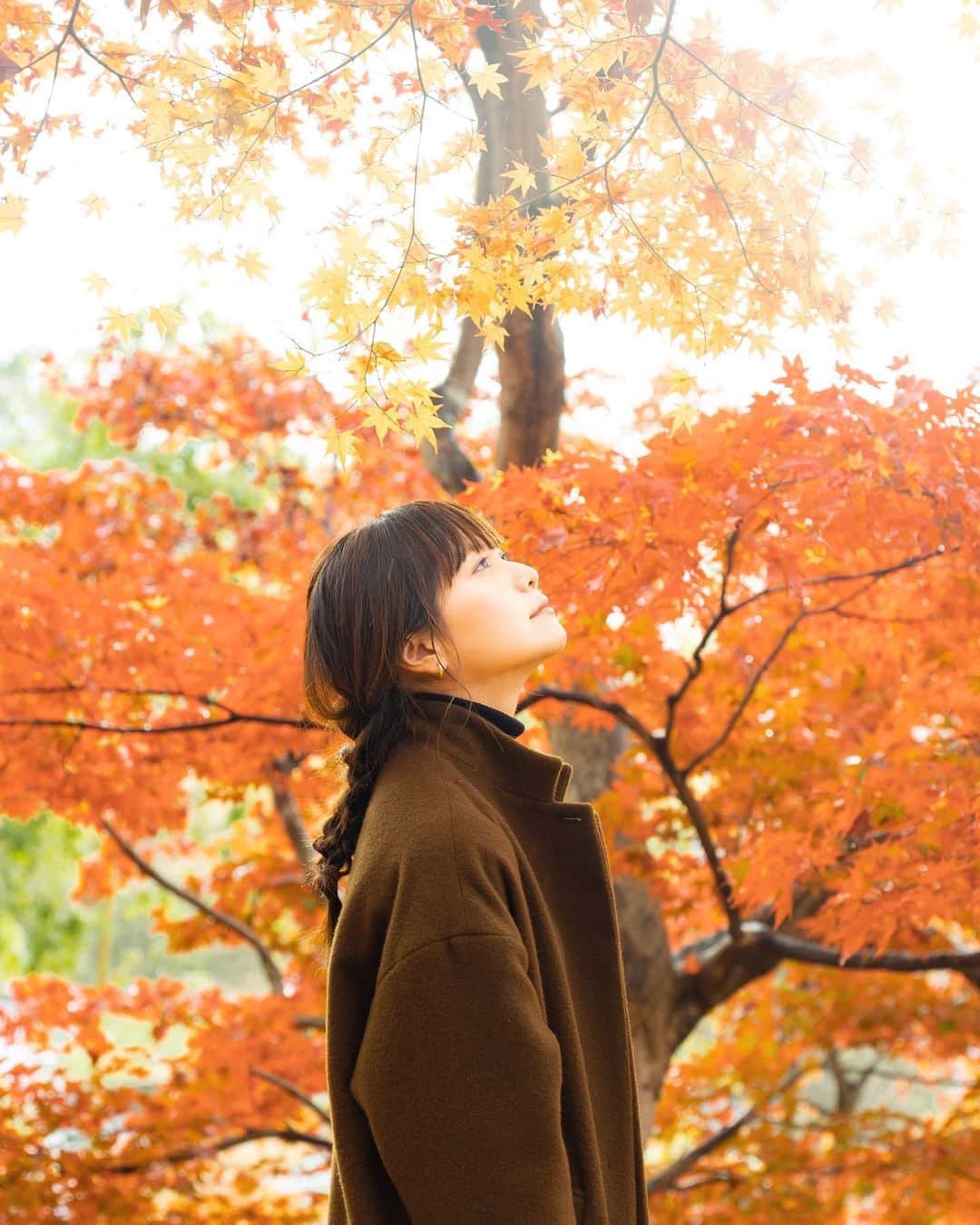 sorayuchiのインスタグラム：「🍁 ・ 毎日庭の落ち葉掃除に勤しんでおります🍂焼き芋食べたくなる🍠本当に落ち葉の焚火で焼き芋はできるのか？🤔」