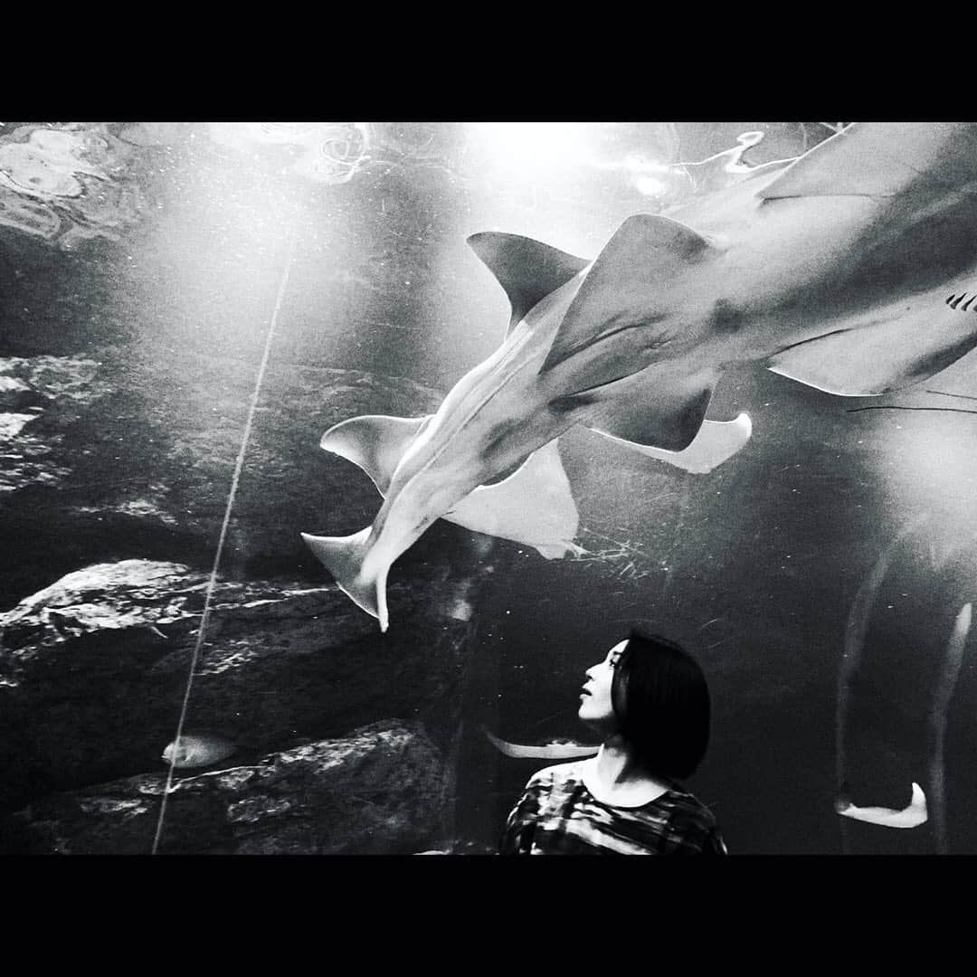 城南海さんのインスタグラム写真 - (城南海Instagram)「December 3,2020  #城南海 #月刊城南海  #kizukiminami #minamikizuki #singer  #music #japan #tokyo #fashion  #universe #space #planet #cosmos #宇宙  #jellyfish #ray #shark #underthesea #instagood #aquarium #bubble #water #reflection #junokamoto  #🛸 #🚀 #🪐 #🦈 #🐬  hairmake&photo 加藤リーヌ @cat_rinu」12月3日 19時35分 - kizukiminami