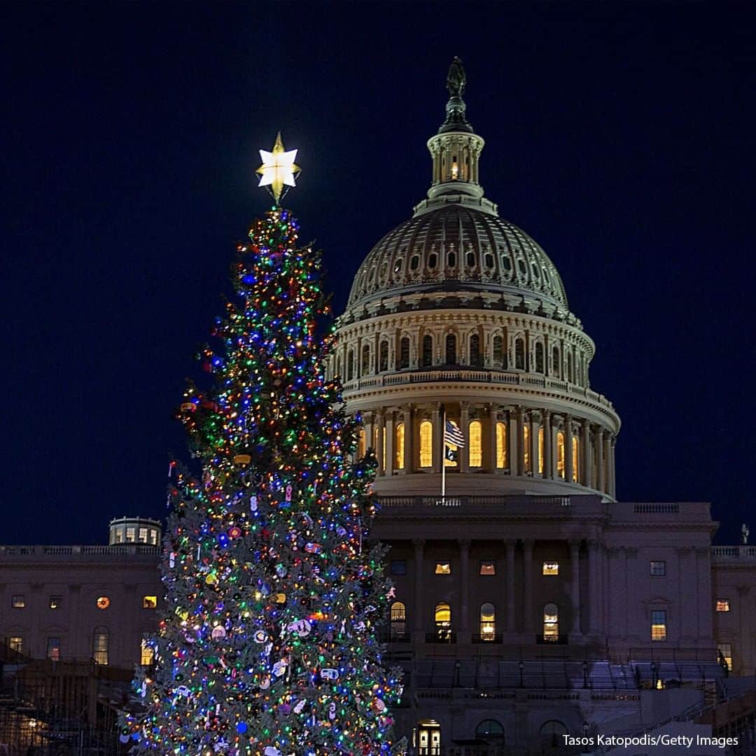 ABC Newsさんのインスタグラム写真 - (ABC NewsInstagram)「The U.S. Capitol Christmas tree is illuminated during a ceremony on the West Lawn of the Capitol Building. The 55-foot tall, 25-foot wide Engelmann spruce was harvested in western Colorado. #christmastree #washingtondc」12月3日 20時00分 - abcnews
