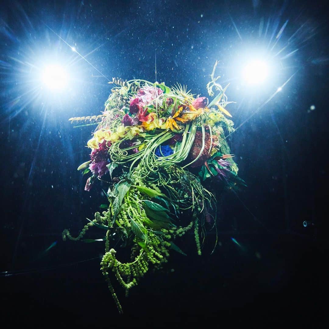東信のインスタグラム：「Sephirothic Flower (2017)  #azumamakoto #shiinokishunsuke #amkk #amkkproject #inbloom #deepsea #divingintotheunknown #surugabay #Japan #東信 #東信花樹研究所」