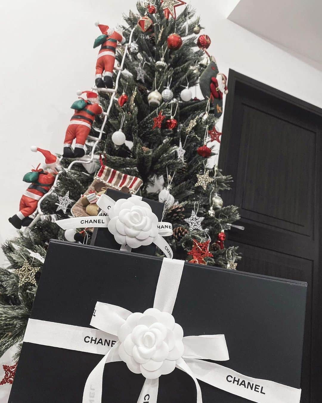 MIYABIのインスタグラム：「クリスマスっぽく撮ってみたぁ❄🎄🎁  今年はクリスマスもお正月もゆっくりお家で過ごそ〜」