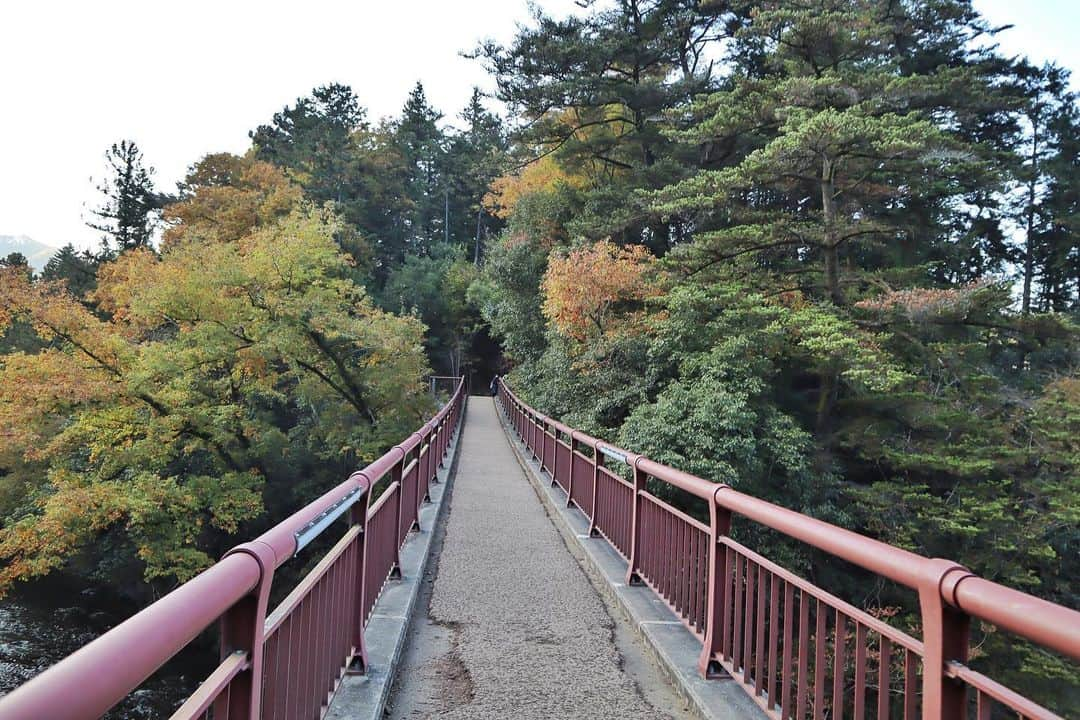 金泉紗恵子さんのインスタグラム写真 - (金泉紗恵子Instagram)「.﻿ 【東京　秋川渓谷　瀬音の湯】﻿ フォロワーさんに教えていただいた、秋川渓谷にある瀬音の湯という温泉🙌﻿ ﻿ 日帰り温泉と宿泊できるコテージもあります😌﻿ 私は11月14日、15日に1泊多摩地区に泊まったのですが、滞在はビジホにして、夜はこちらの温泉に行きました♨️﻿ 昼間も見たかったので、15日の帰り道にも立ち寄りました😊﻿ ﻿ 瀬音の湯の泉質、すごく良かったです🥰﻿ 温泉総選挙のうる肌部門で1位にもなったとのこと👍﻿ お湯に入った瞬間、これは絶対ツルツルになる！と思いました😁﻿ 女性は特に好きな泉質だと思います😇﻿ 東京にこんな泉質の温泉があったとは😚﻿ ﻿ 2020年12月7日〜11日はお休みのようです⚠️﻿ 感染状況も落ち着いたら、こちらの温泉もとてもオススメです😆﻿ また、機械故障で休止していますが、外には無料の足湯があり、紅葉シーズンだったのでとても綺麗でした😋（写真4枚目）﻿ こちらも復活したら無料で楽しめるので良さそうです😎﻿ ﻿ ﻿ ﻿ 瀬音の湯から少し歩くと石舟橋があり、秋川渓谷を楽しめます⭐️（写真6枚目以降）﻿ 個人的には氷川渓谷の方が好きな景色でしたが、秋川渓谷の方がアクセスは良いと思います😊﻿ 御岳山でハイキングをして、秋川渓谷を楽しみつつ、瀬音の湯でお風呂に入るのも良さそう🤩﻿ ﻿ ﻿ ﻿ この日は奥多摩湖から瀬音の湯までたくさんの紅葉スポットを楽しみました🍁﻿ 色々ご紹介するために、1日でたくさんのスポットに行きましたが、通常は1、2ヶ所をじっくり楽しむのが良いと思います🥳﻿ 奥多摩とっても素晴らしかったなぁ😍﻿ また季節を変えて遊びに行きたいです🙌﻿ ----------------------------------------------------﻿﻿﻿ 多摩の魅力発信プロジェクト　@tamahatsu_official のメンバーとして多摩地区のPRをさせていただいています﻿﻿﻿﻿ ----------------------------------------------------﻿﻿﻿ .﻿ #PR #tamahatsu #tama #okutama #tokyo #eoskissm #canoneoskissm #followme #autumnleaves #hotspring #たま発 #多摩の魅力発信プロジェクト #多摩 #奥多摩 #瀬音の湯 #温泉 #日帰り温泉 #東京 #国内旅行 #東京観光 #秋川渓谷 #紅葉 #石舟橋」12月3日 20時21分 - saeko_kanaizumi