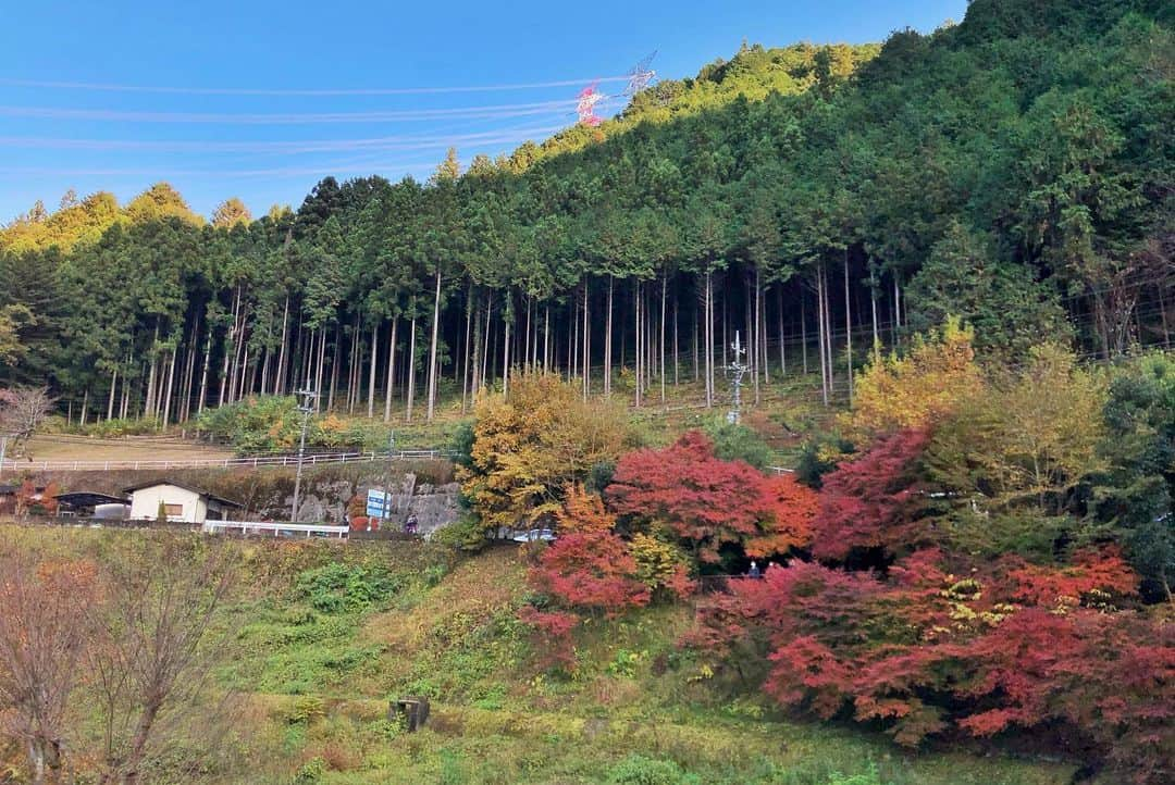 金泉紗恵子さんのインスタグラム写真 - (金泉紗恵子Instagram)「.﻿ 【東京　秋川渓谷　瀬音の湯】﻿ フォロワーさんに教えていただいた、秋川渓谷にある瀬音の湯という温泉🙌﻿ ﻿ 日帰り温泉と宿泊できるコテージもあります😌﻿ 私は11月14日、15日に1泊多摩地区に泊まったのですが、滞在はビジホにして、夜はこちらの温泉に行きました♨️﻿ 昼間も見たかったので、15日の帰り道にも立ち寄りました😊﻿ ﻿ 瀬音の湯の泉質、すごく良かったです🥰﻿ 温泉総選挙のうる肌部門で1位にもなったとのこと👍﻿ お湯に入った瞬間、これは絶対ツルツルになる！と思いました😁﻿ 女性は特に好きな泉質だと思います😇﻿ 東京にこんな泉質の温泉があったとは😚﻿ ﻿ 2020年12月7日〜11日はお休みのようです⚠️﻿ 感染状況も落ち着いたら、こちらの温泉もとてもオススメです😆﻿ また、機械故障で休止していますが、外には無料の足湯があり、紅葉シーズンだったのでとても綺麗でした😋（写真4枚目）﻿ こちらも復活したら無料で楽しめるので良さそうです😎﻿ ﻿ ﻿ ﻿ 瀬音の湯から少し歩くと石舟橋があり、秋川渓谷を楽しめます⭐️（写真6枚目以降）﻿ 個人的には氷川渓谷の方が好きな景色でしたが、秋川渓谷の方がアクセスは良いと思います😊﻿ 御岳山でハイキングをして、秋川渓谷を楽しみつつ、瀬音の湯でお風呂に入るのも良さそう🤩﻿ ﻿ ﻿ ﻿ この日は奥多摩湖から瀬音の湯までたくさんの紅葉スポットを楽しみました🍁﻿ 色々ご紹介するために、1日でたくさんのスポットに行きましたが、通常は1、2ヶ所をじっくり楽しむのが良いと思います🥳﻿ 奥多摩とっても素晴らしかったなぁ😍﻿ また季節を変えて遊びに行きたいです🙌﻿ ----------------------------------------------------﻿﻿﻿ 多摩の魅力発信プロジェクト　@tamahatsu_official のメンバーとして多摩地区のPRをさせていただいています﻿﻿﻿﻿ ----------------------------------------------------﻿﻿﻿ .﻿ #PR #tamahatsu #tama #okutama #tokyo #eoskissm #canoneoskissm #followme #autumnleaves #hotspring #たま発 #多摩の魅力発信プロジェクト #多摩 #奥多摩 #瀬音の湯 #温泉 #日帰り温泉 #東京 #国内旅行 #東京観光 #秋川渓谷 #紅葉 #石舟橋」12月3日 20時21分 - saeko_kanaizumi