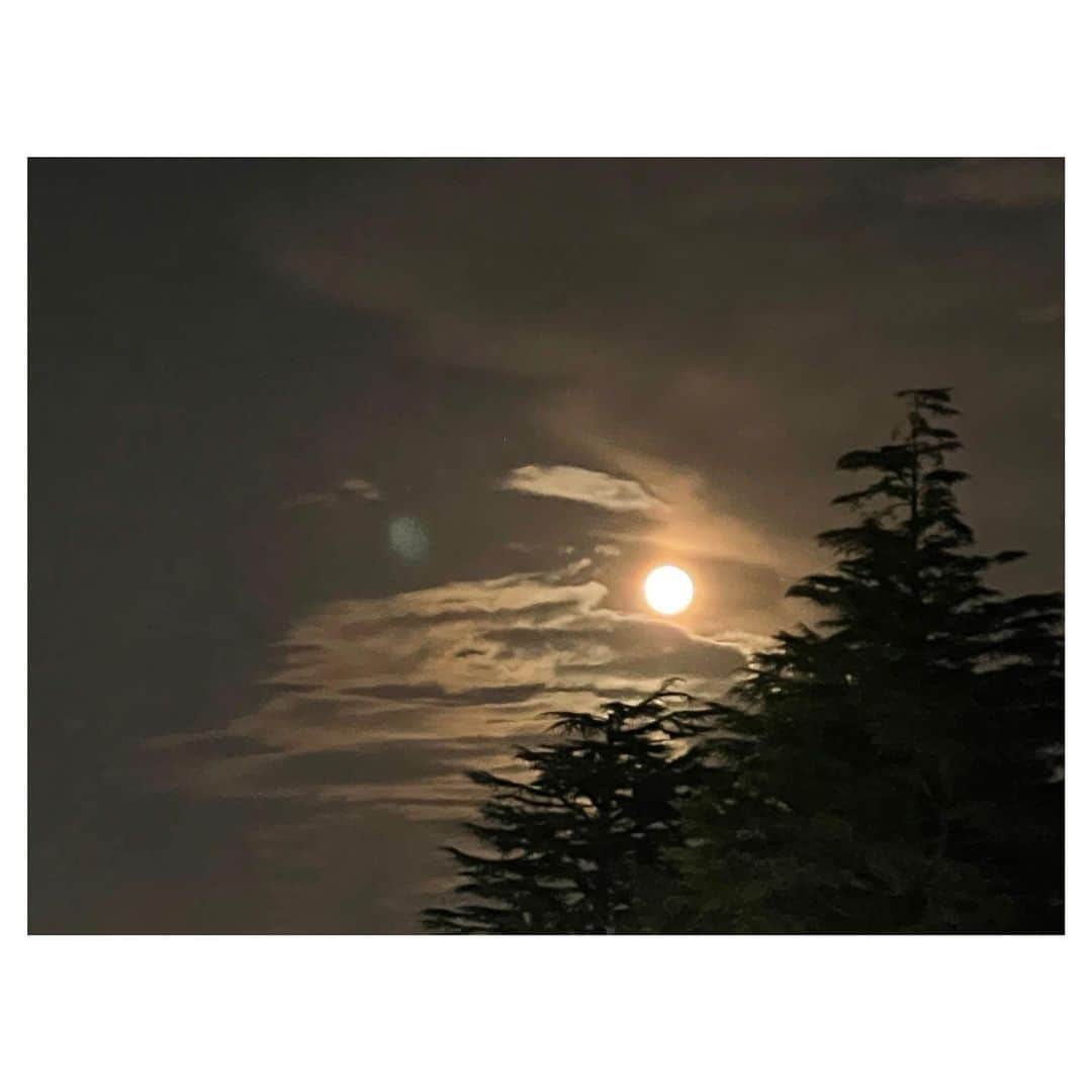 のインスタグラム：「. ルーピン先生を思い出すような月  #これはこの前の #ビーバームーン #🌕 #今日の月も #少し欠けてましたが大きかったです  #最近思ったんです #僕のグリッド(投稿一覧) #なんか片付いてないおもちゃ箱みたいだなと #ごちゃごちゃ #もっとおしゃれにしたい #インスタなんだし  #そこで分析しました #おしゃれな人のインスタを。(主に @haruna_goto ) #すると判明しました。 #みんな風景画が入ってるんですよ。ちょいちょい。  #空などの写真があるととても綺麗で #落ち着いていて、優雅だなと思いました  #なので僕も風景画を載せたのですが、 #ふむ🤔 #余計に散らかったな？？？」