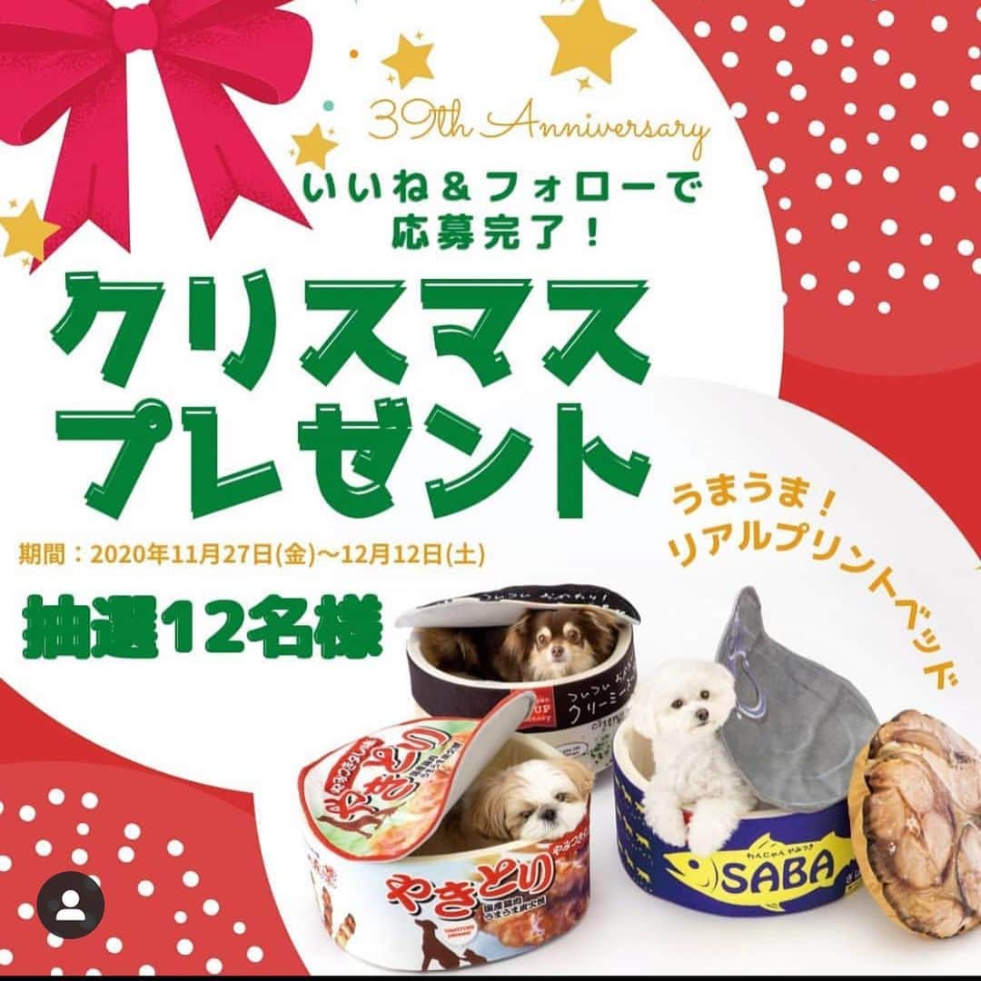 野木久美子のインスタグラム