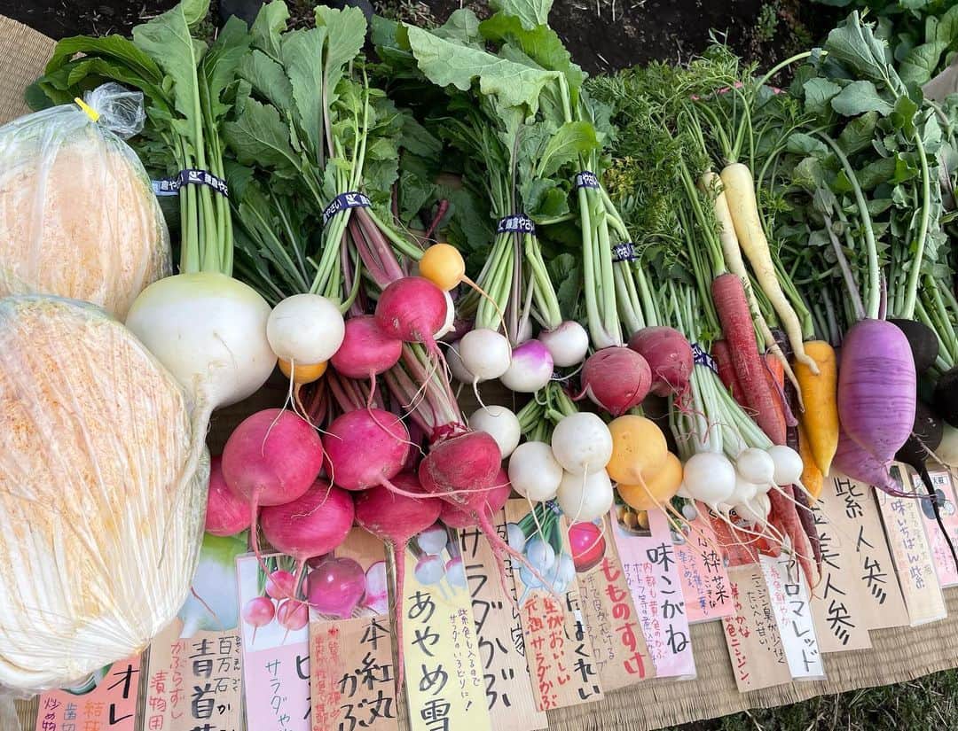 東野幸治のインスタグラム：「鎌倉野菜に興味津々。 黄色い白菜が美味い！ ファーストタッチが全然違う！ 皆さんも全国津々浦々のブランド野菜を食べましょう！」