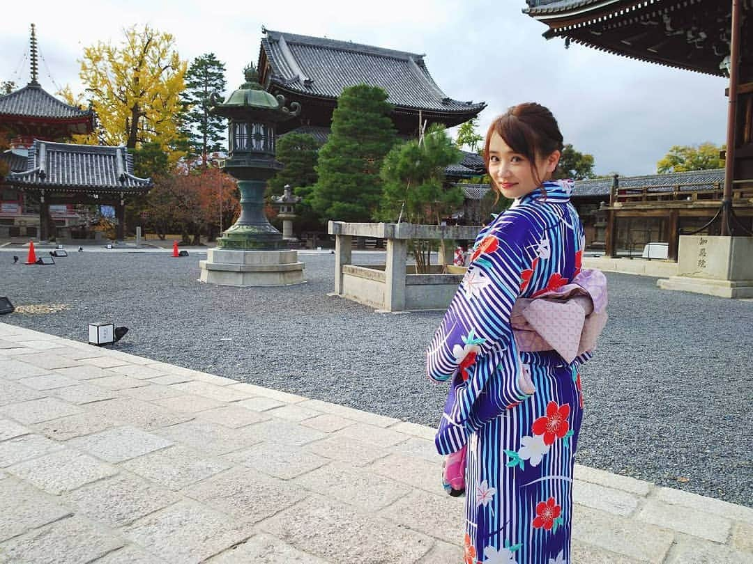 市川みかのインスタグラム：「徳川家末裔の母方の実家がお寺で、その総本山の知恩院へ、着物で参拝して来ました👘  徳川家所縁深い知恩院。 いとこの住職もよく通っている場所。 あちらこちらに葵の紋章。  長い階段を着物で上がるのは大変だったけど、乗り越えると気分爽快に(笑)◎ 左甚五郎の忘れ傘を確認するのを忘れたから、また行かなきゃ♪  八坂神社へも立ち寄りました⛩️ 知恩院では御朱印を頂いたけど八坂神社では忘れてしまったので、また行かなきゃ♪  知恩院も八坂神社もとても立派な仏閣と神社✨ 美しくて感動します。    #京都 #知恩院 #八坂神社 #祇園 #東山 #華頂山 #徳川家末裔 #法然上人 #浄土宗 #総本山 #七不思議 #御朱印 #国宝 #重要文化財 #京都府有形文化財 #京都府指定名勝 #タビジョ #trip #travel #InstagramJapan #photos #viewpoint #beautiful_spot #photography #photooftheday #picoftheday #tagsforlikes #tflers #follow #instagood」