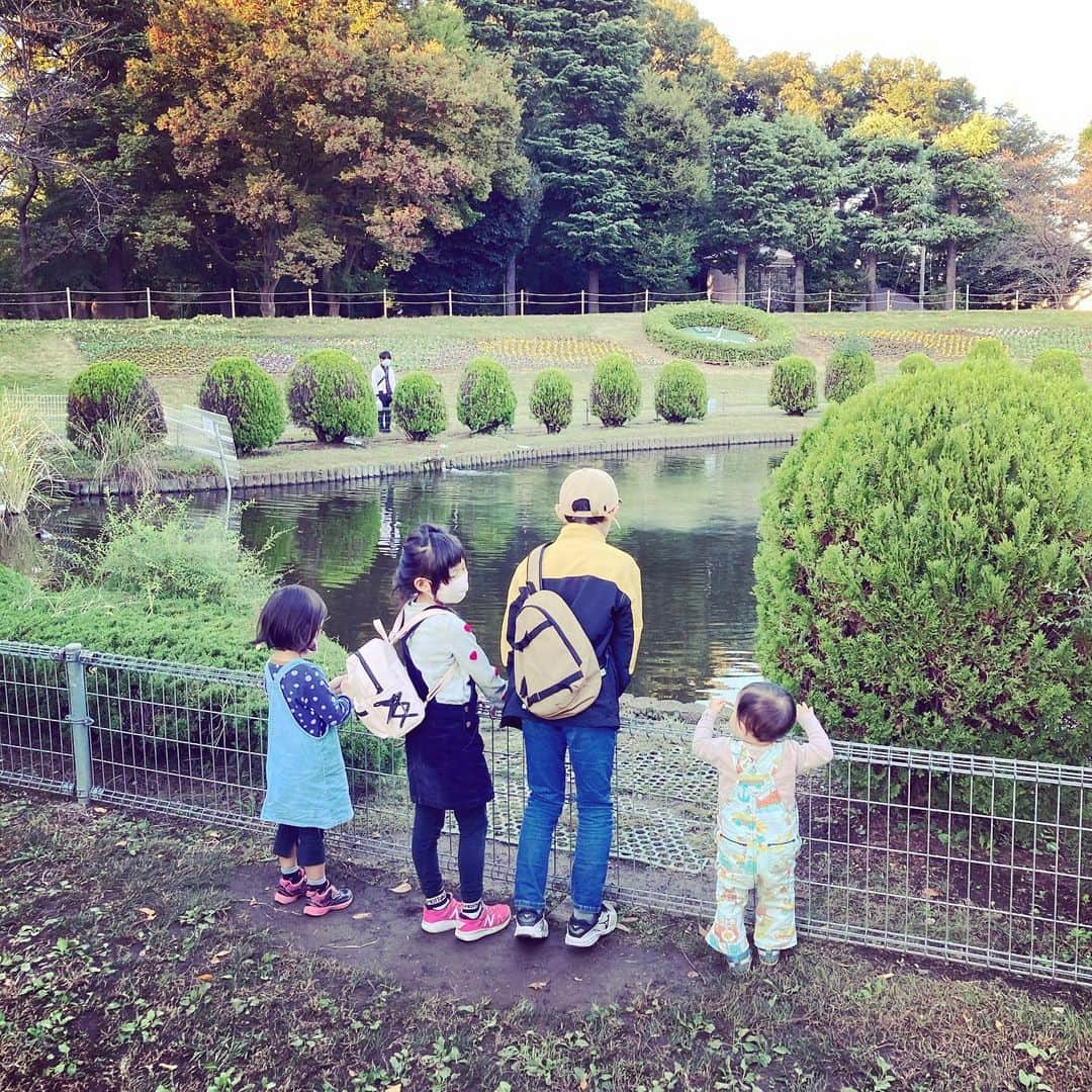 西嶋弘之さんのインスタグラム写真 - (西嶋弘之Instagram)「4番目と猫達の距離感が近い。 心を許してる。  4番目スクスク成長中。 それぞれ1歳の時を思い返すと、娘達より息子達の方がわんぱく。じっとしてない。人見知りしない。 お母さん大変そう。。。  懐かしい写真も。  西嶋家は元気です。  #すこてぃっしゅふぉーるど #ねこ #ねこのいる生活 #たちみみスコ #4にんきょうだいの末っ子 #1歳3ヶ月 #みんなげんき#西嶋弘之 #元#コンサドーレ札幌」12月3日 21時48分 - hiroyukinishijima6