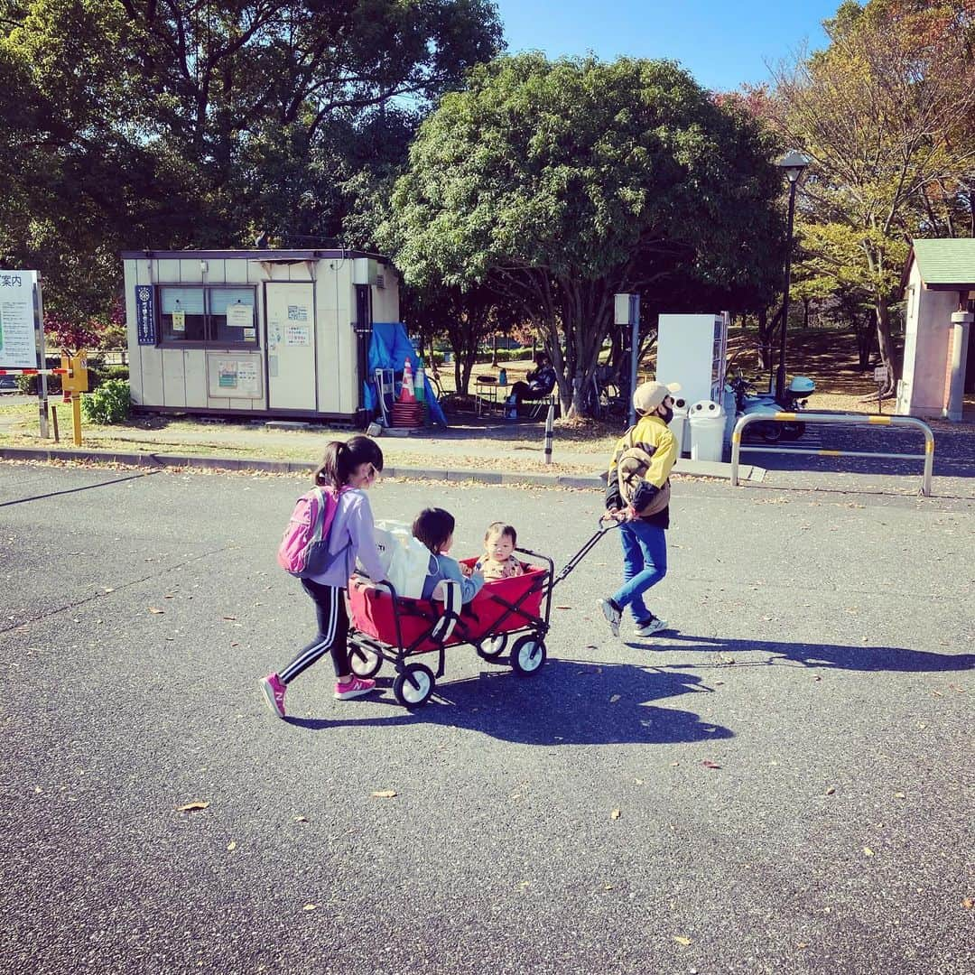 西嶋弘之さんのインスタグラム写真 - (西嶋弘之Instagram)「4番目と猫達の距離感が近い。 心を許してる。  4番目スクスク成長中。 それぞれ1歳の時を思い返すと、娘達より息子達の方がわんぱく。じっとしてない。人見知りしない。 お母さん大変そう。。。  懐かしい写真も。  西嶋家は元気です。  #すこてぃっしゅふぉーるど #ねこ #ねこのいる生活 #たちみみスコ #4にんきょうだいの末っ子 #1歳3ヶ月 #みんなげんき#西嶋弘之 #元#コンサドーレ札幌」12月3日 21時48分 - hiroyukinishijima6