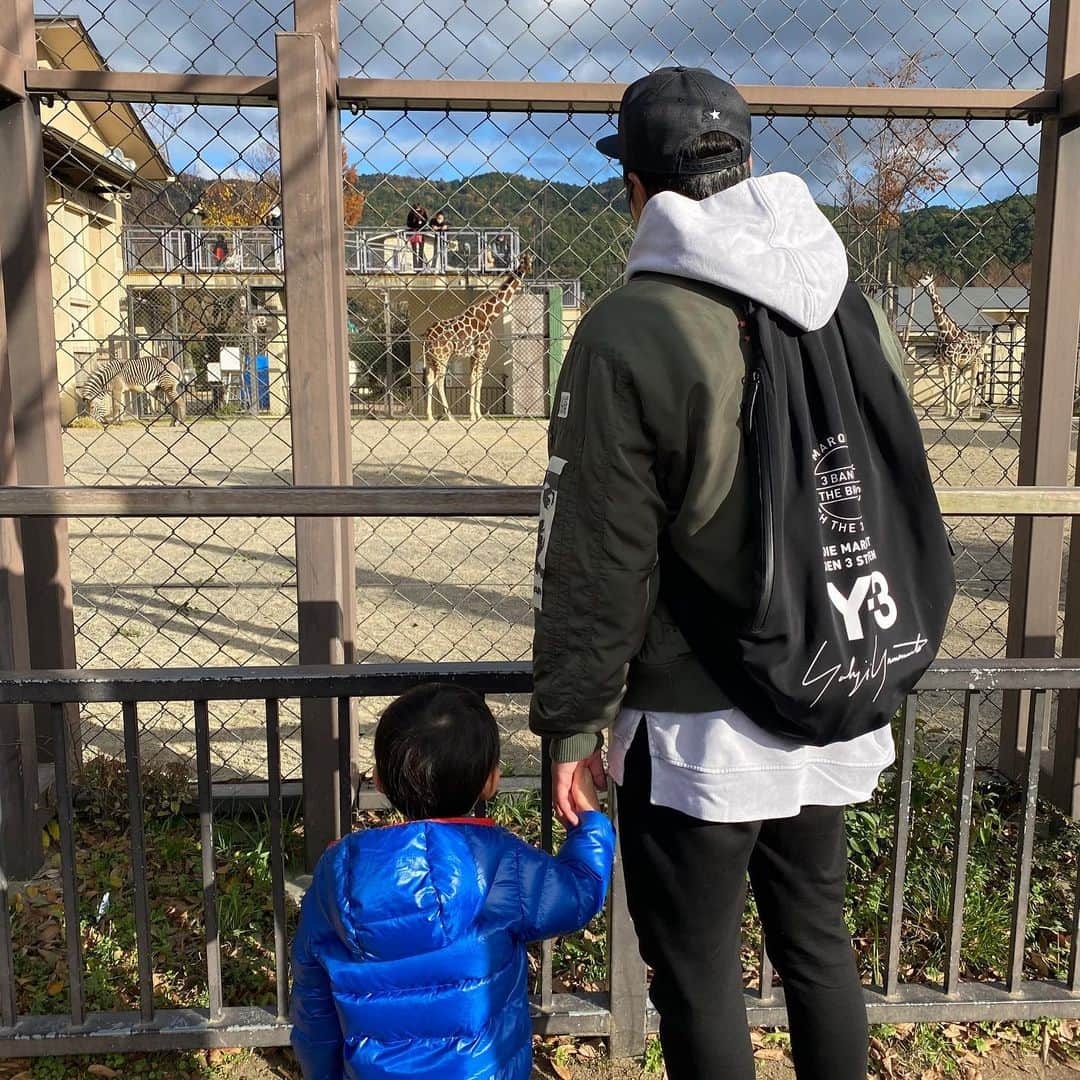 横山雄哉さんのインスタグラム写真 - (横山雄哉Instagram)「京都ぶらり。  動物園と今宮神社に行きました。  Jr.は動物よりも 園の真ん中の池に 石投げる事に集中してた。  神社では 財布の中の小銭を 鷲掴みにしてお賽銭箱に ぶん投げた。笑 500円玉２枚は見えた。 止めれなかった。笑  その分いい事ありますよーに😂  #横山雄哉 #京都市動物園  #今宮神社 #煉獄杏寿郎 #パクセロイ#すべった」12月3日 21時44分 - yuya_yokoyaaaman