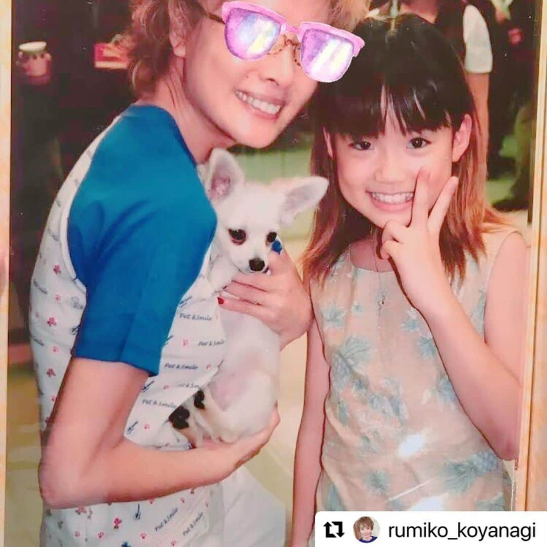 加弥乃さんのインスタグラム写真 - (加弥乃Instagram)「#小柳ルミ子 さんがInstagramに、 小柳ルミ子さん、ルルちゃん、加弥乃の17年前のスリーショットをアップしてくださっているのを今、見つけました…！！😍📸  このお写真は、ミュージカル #アニー の打ち上げの時のもの。アニーの頃、ルルちゃんと遊ばせて頂いていた覚えがあります☺️♡ ドラマ #西郷どん の打ち上げで小柳さんに再びお会いできたので、ご挨拶させて頂いたんです。嬉しかったなぁ。」12月3日 22時23分 - kayano210