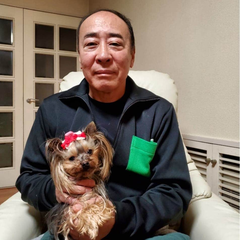 モト冬樹のインスタグラム：「可愛いポンム#モト冬樹#ヨーキー」