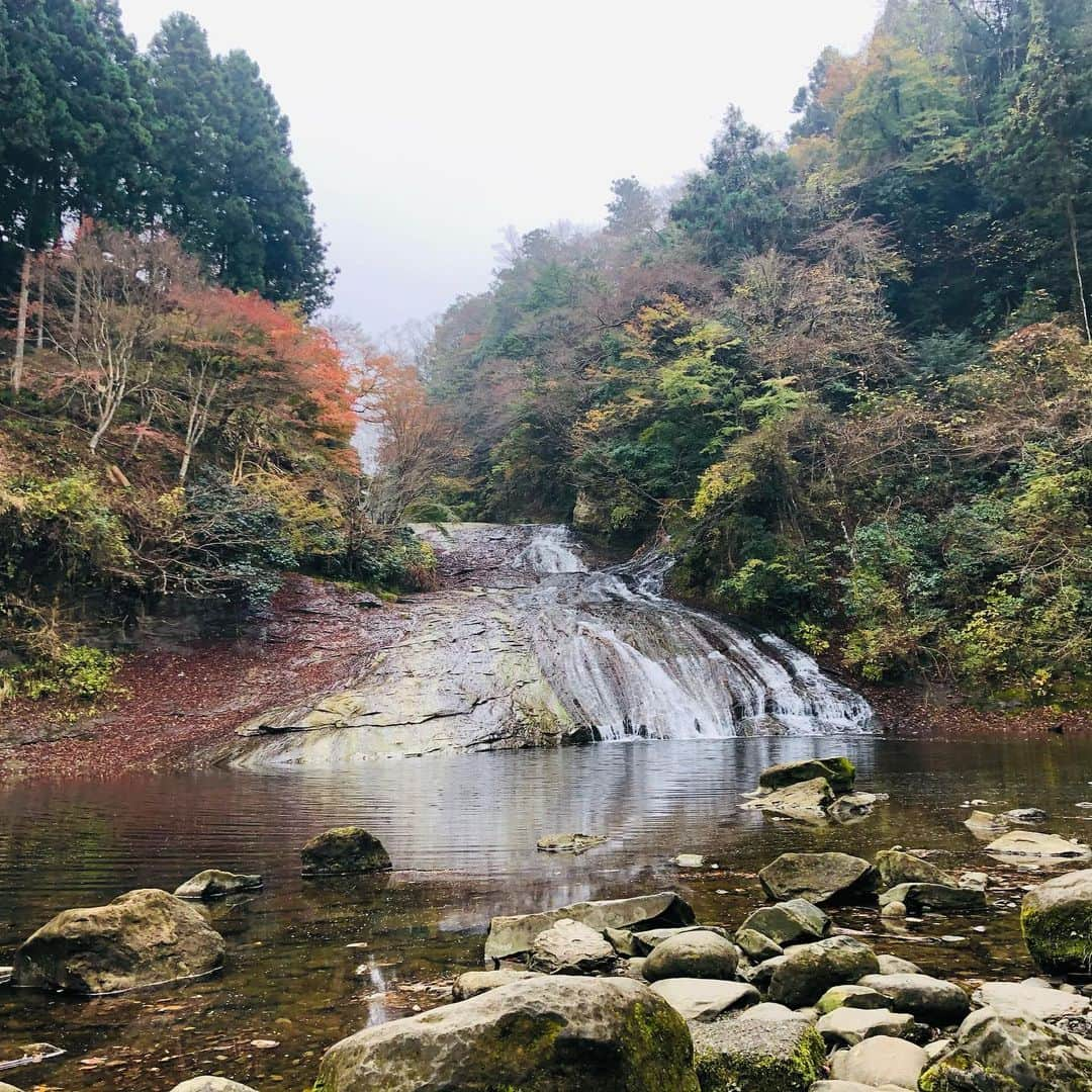 金田久美子さんのインスタグラム写真 - (金田久美子Instagram)「養老渓谷の滝めぐり。 紅葉🍁、川の流れる音、マイナスイオンたっぷりの空気に癒されました。 #養老渓谷 #養老渓谷粟又の滝  #紅葉 #マイナスイオンたっぷり  #きもちいいー」12月3日 22時39分 - kumiko_kaneda