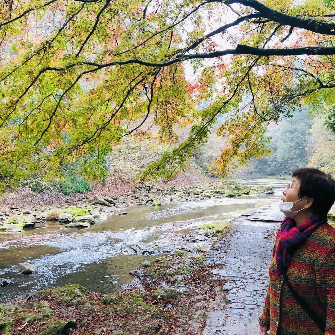 金田久美子さんのインスタグラム写真 - (金田久美子Instagram)「養老渓谷の滝めぐり。 紅葉🍁、川の流れる音、マイナスイオンたっぷりの空気に癒されました。 #養老渓谷 #養老渓谷粟又の滝  #紅葉 #マイナスイオンたっぷり  #きもちいいー」12月3日 22時39分 - kumiko_kaneda