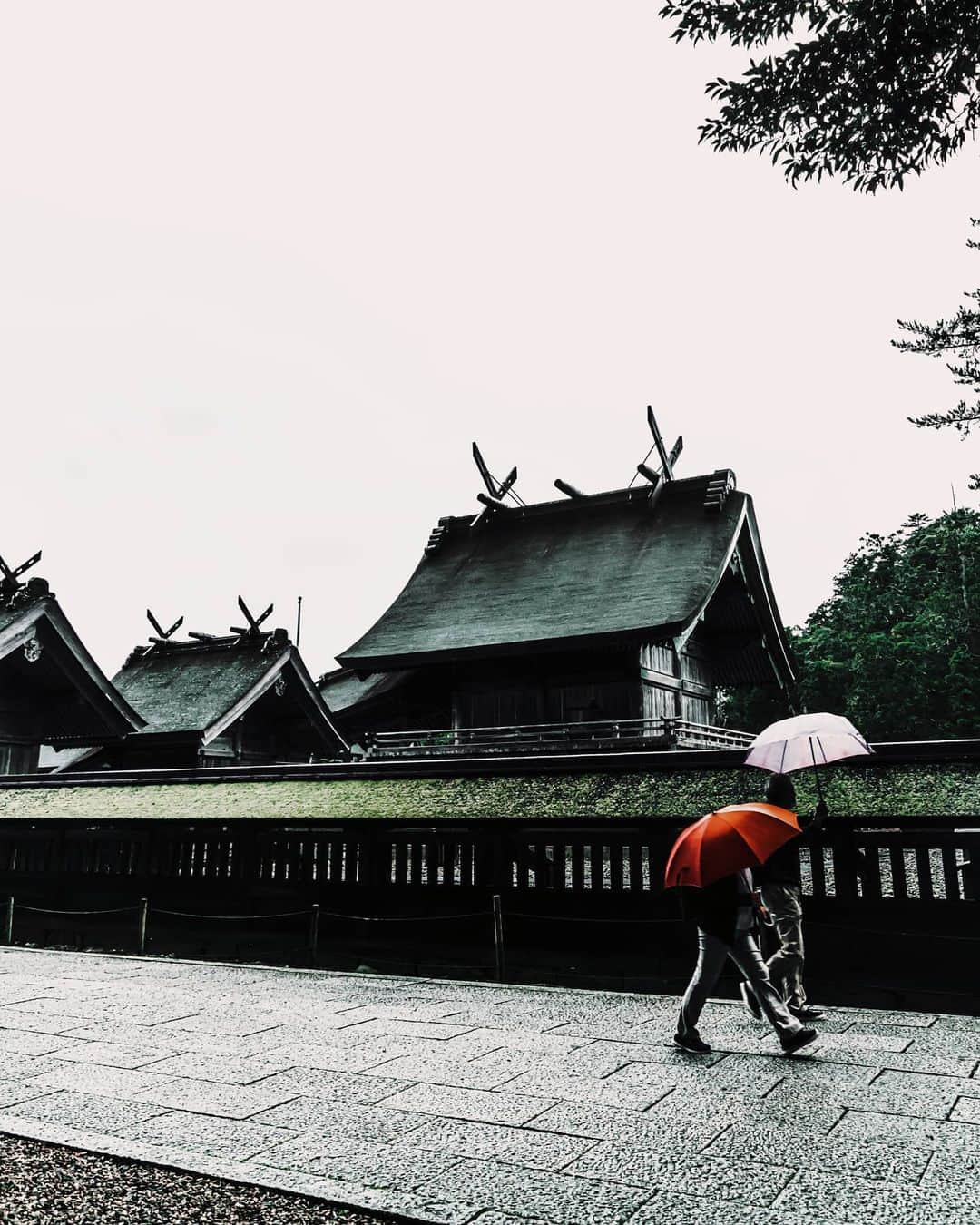 6151さんのインスタグラム写真 - (6151Instagram)「出雲大社｜しまねの旅。   縁結びの神様にご挨拶。 縁結びというとなんとなーく恋愛を思い浮かべてしまいますが 出雲大社はあらゆる良縁を手繰り寄せてくれるのだそう。   お参りのお作法は「2礼、4拍手、1礼」 少し緊張しながら手を合わせてきた。   良いご縁に導いてもらえますように。   -----   Hanako no.1191 1月号 @hanako_magazine  #HanakoTravel にて掲載中です。   店頭でお見かけの際はぜひお手にとってご覧ください。 電子版もあるので見てね📖」12月3日 22時50分 - 6151