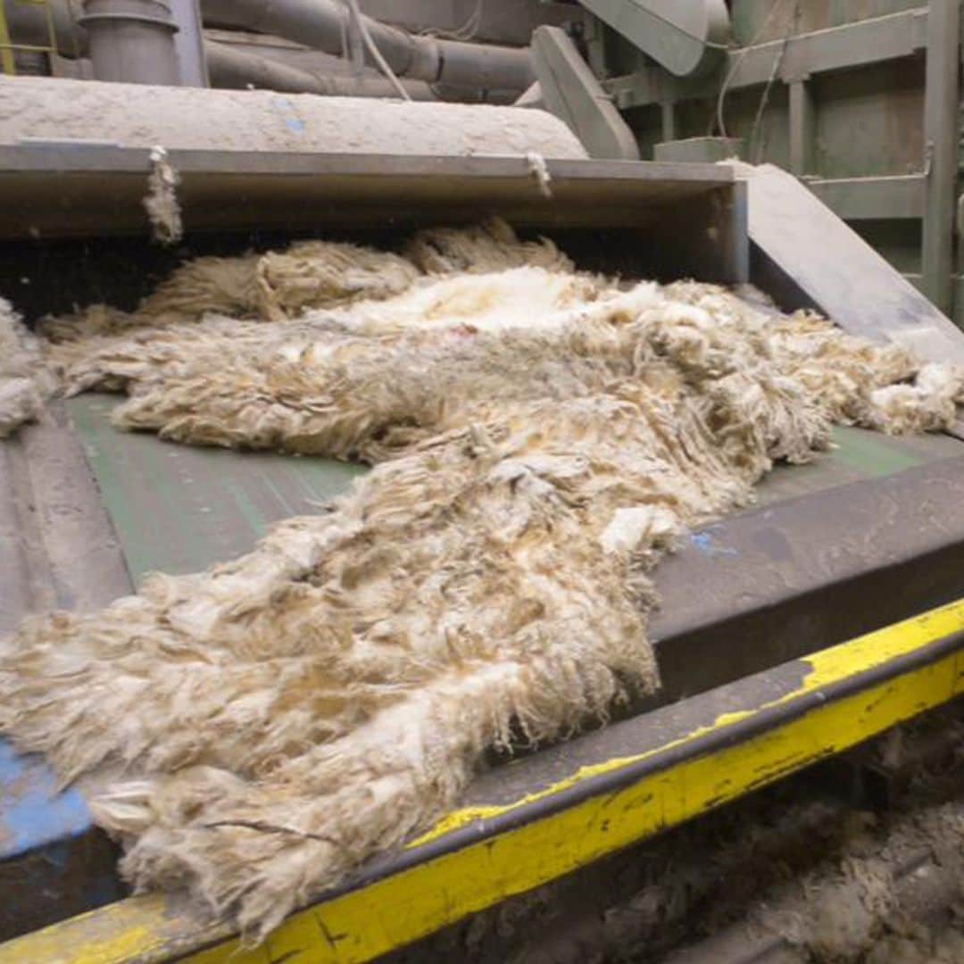 ドーメルさんのインスタグラム写真 - (ドーメルInstagram)「The fleece is washed to remove any impurities such as soil, grit and straw.⁣ The result is a bundle of clean fibres, known as a ‘top’.⁣ .⁣ .⁣ .⁣ #greasywool #production #productionprocess #rawwool #rawmaterial #luxuryfibre #luxurycloth」12月3日 22時52分 - dormeuil1842