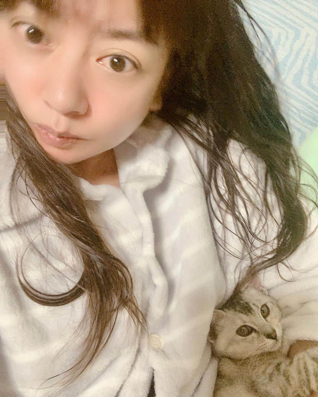 HANAのインスタグラム：「で🙌そんな我が家の姫🐱︎💕︎ですが…夜🌃寝る時は日替わりで次男くんか私の所で寝ています☺️  でもね～😅私やっぱり母親なのか…自然と夜中に何回も起きて大丈夫かな～？って、みーちゃ🐱の寝顔をcheck！ 全然、熟睡できんのよね～😂  寝る姿勢も、みーちゃ🐱に腕枕してる状態で朝まで寝返りも打たず🤣まんまその状態なんだよね～(´>∀<｀)ゝ  さて🙌今夜はどっちと寝るのかな～？😆  追記…今日はあっさり次男くんのところに行きました😂なう(2020/12/04 00:28:50)  #アラフィフ#すっぴん#パジャマ#オトナ女子#保護猫#猫好き#猫のいる暮らし#セルフィー#セルフポートレート#46歳#40代#40代女子#40代ママ#熟女#自己満グラム#고양이#미인#age46#smile#cat#kitty#beauty#followme#sexy#japanese#photooftheday#instagood」