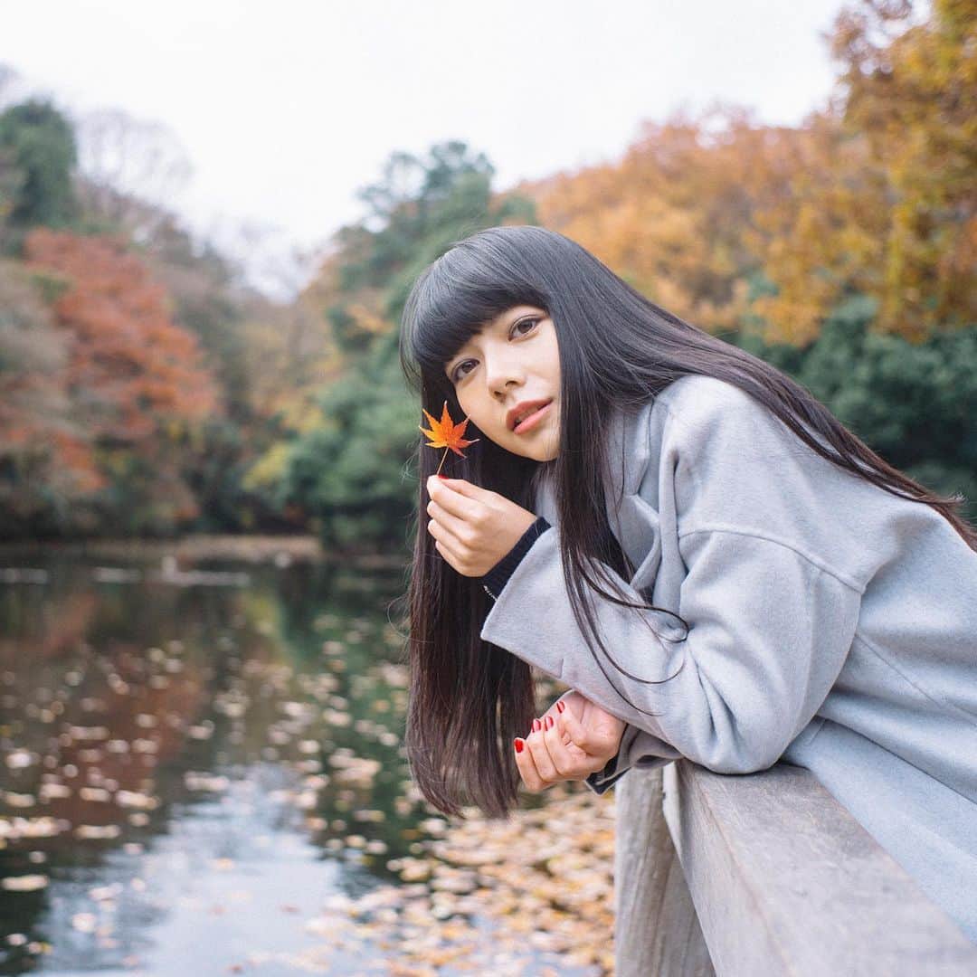 Naokoのインスタグラム：「a sweet maple day..🍁」