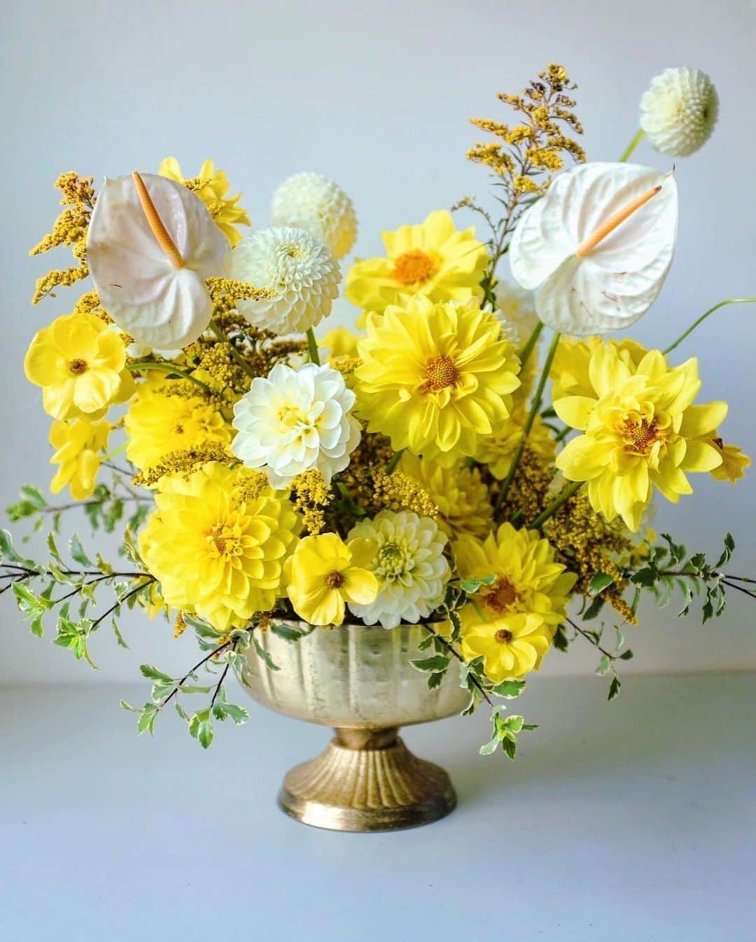 Grace Bonneyのインスタグラム：「@biablooms here! 🙋🏽‍♀️ Day 2 of my DS takeover and thought I’d brighten up your morning feed with some colorful flowers. These are all arrangements I created recently, and two of these blooms went to the same person on different occasions! Check my @biablooms page to 🕵🏾 find out who that very special person was! 👀😍   Which of these blooms most matches your vibe?! I wanna know!💕」