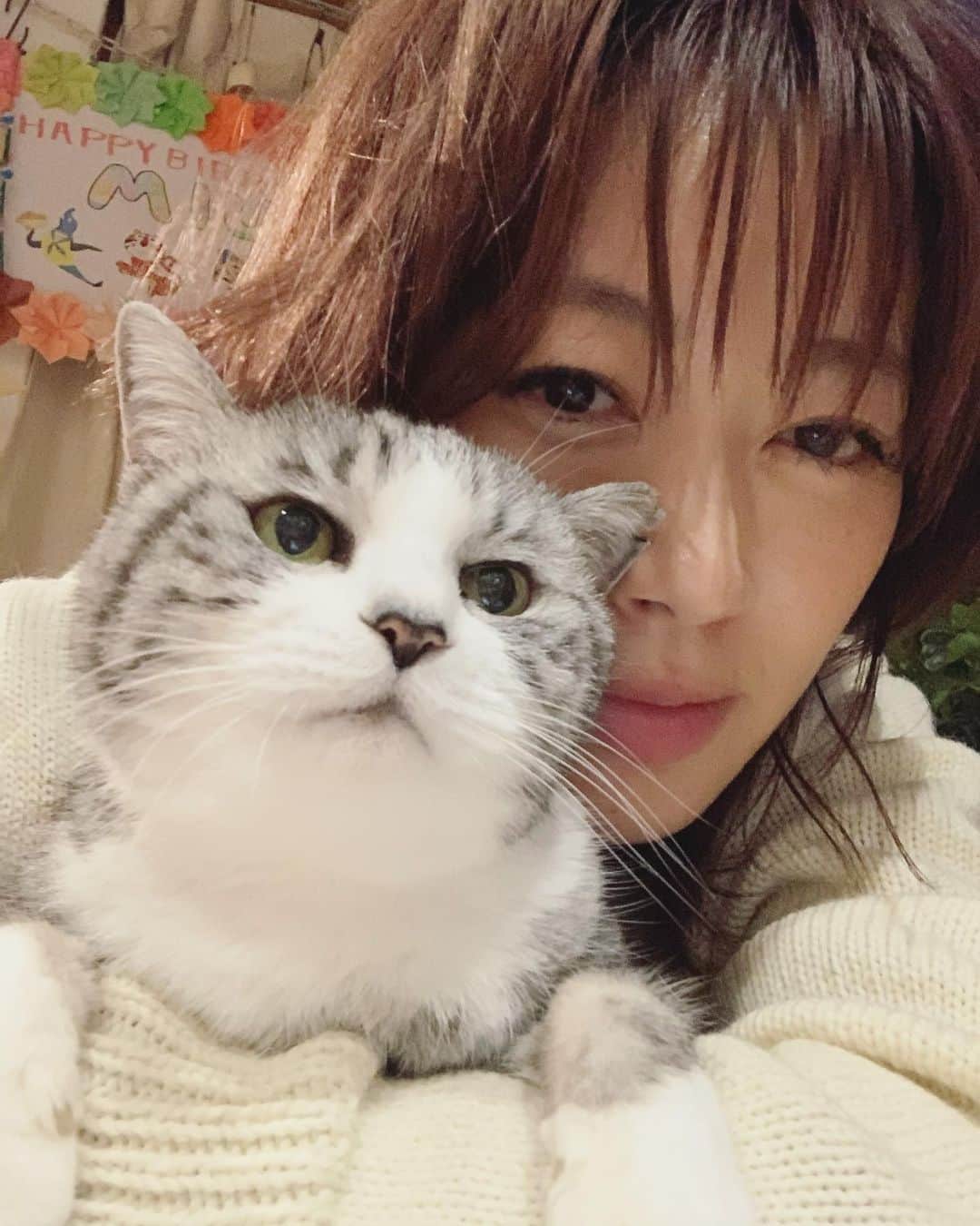 坂本美雨さんのインスタグラム写真 - (坂本美雨Instagram)「おやすみ！ #cat #サバ美」12月3日 23時58分 - miu_sakamoto