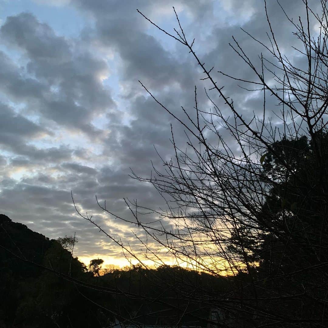 クリス智子さんのインスタグラム写真 - (クリス智子Instagram)「今日のはじまりの色、6時台に5分毎ぐらいに。（途中いろいろやっているうちに）最後はいきなり30分ほど飛んで、7時台！  寒いけれで、やっぱり冬はきれいですね。 12月4日。」12月4日 10時28分 - chris_tomoko