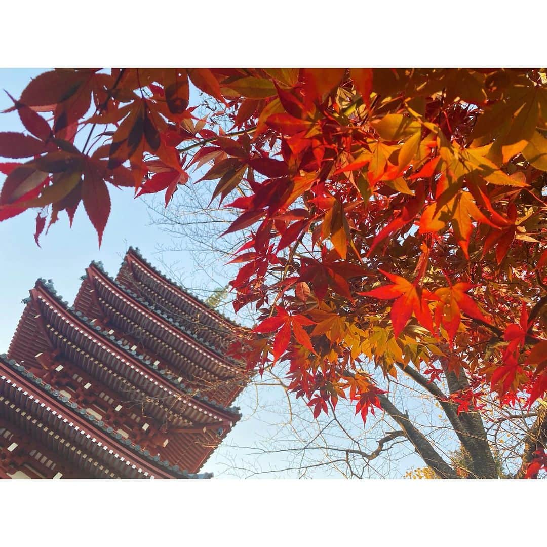 粕谷奈美さんのインスタグラム写真 - (粕谷奈美Instagram)「あっという間に12月！ 先日見に行った紅葉がとっても綺麗でした🍁 #autumnleaves#🍁 #beautiful#temple#japan」12月4日 10時49分 - nami_kasuya