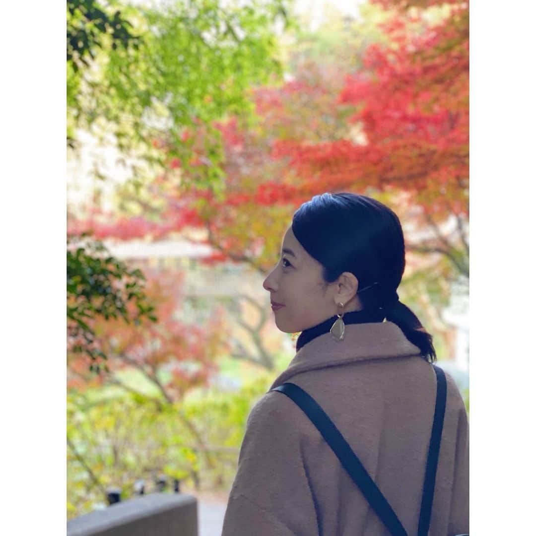 粕谷奈美のインスタグラム：「あっという間に12月！ 先日見に行った紅葉がとっても綺麗でした🍁 #autumnleaves#🍁 #beautiful#temple#japan」