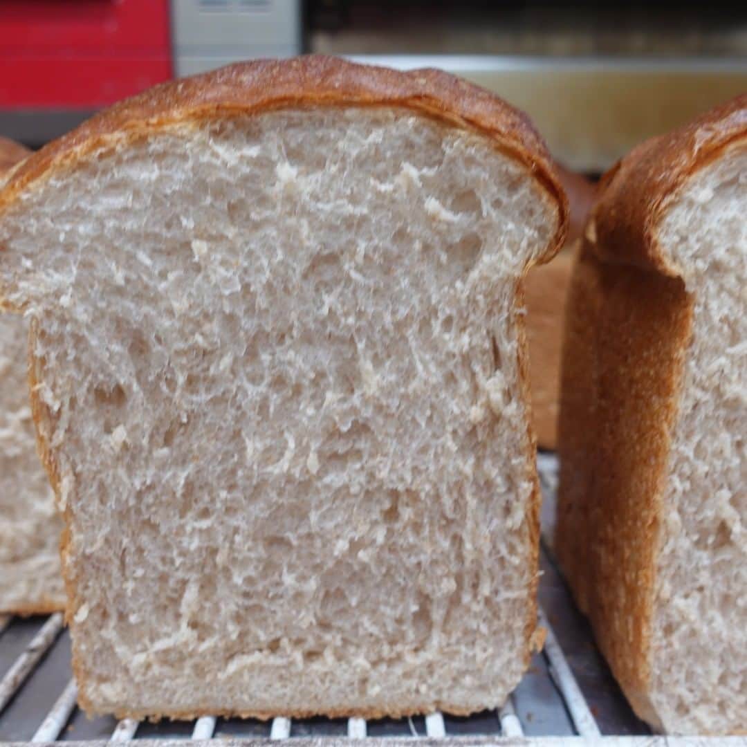 魔女菅原のグルメインスタ