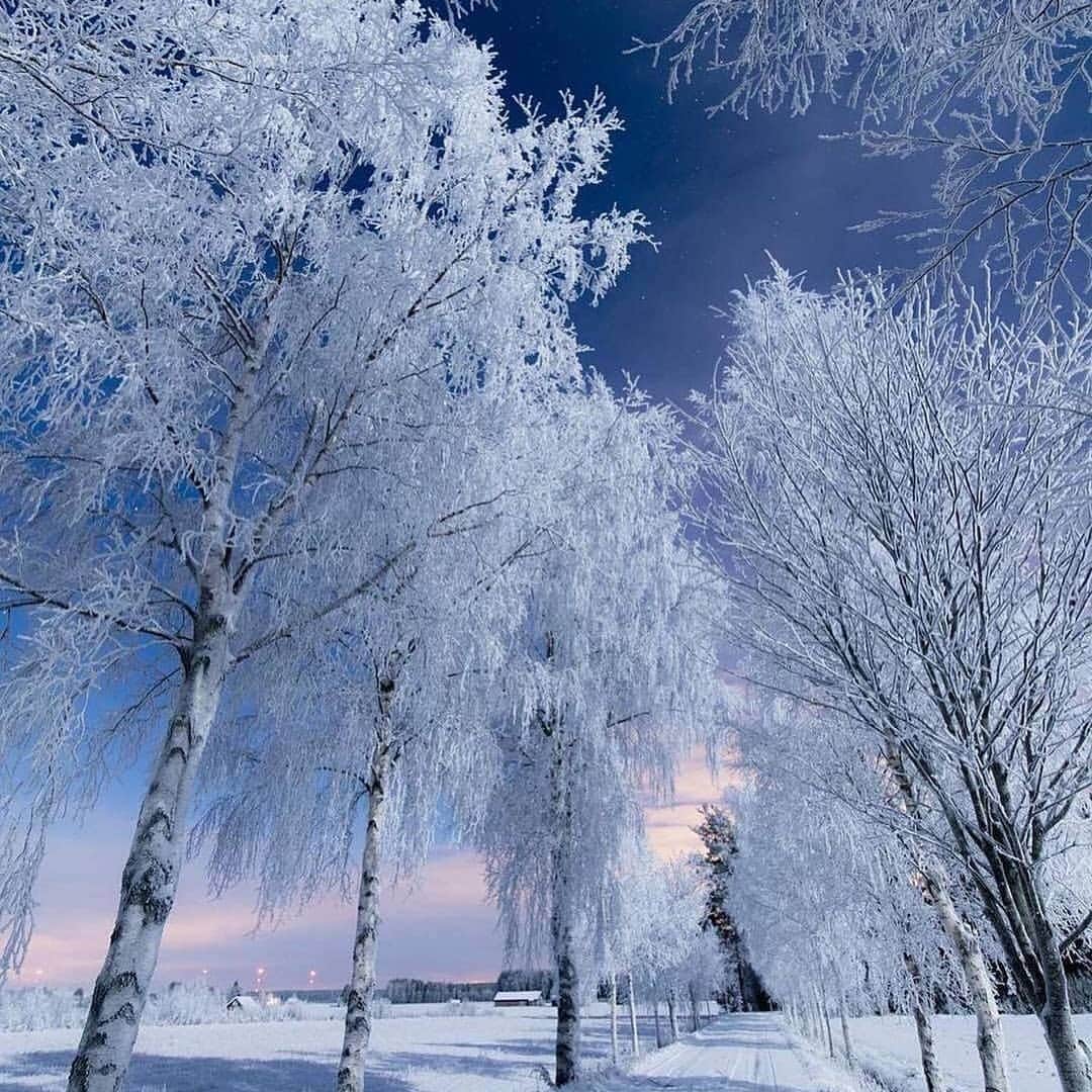 Padgramさんのインスタグラム写真 - (PadgramInstagram)「Magical Finland 🤩 💠💠 Winter or autumn? ☃️🍁 Photos by @jukkarisikko #pgdaily #pgstar #pgcounty #finland #winter #autumn #autumnvibes🍁 #planetgo #planet #planetearth #amazing #awesome #nature」12月4日 11時16分 - planet.go