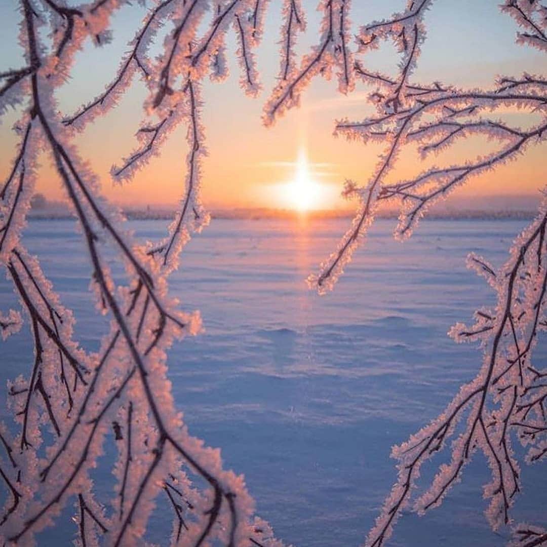 Padgramさんのインスタグラム写真 - (PadgramInstagram)「Magical Finland 🤩 💠💠 Winter or autumn? ☃️🍁 Photos by @jukkarisikko #pgdaily #pgstar #pgcounty #finland #winter #autumn #autumnvibes🍁 #planetgo #planet #planetearth #amazing #awesome #nature」12月4日 11時16分 - planet.go
