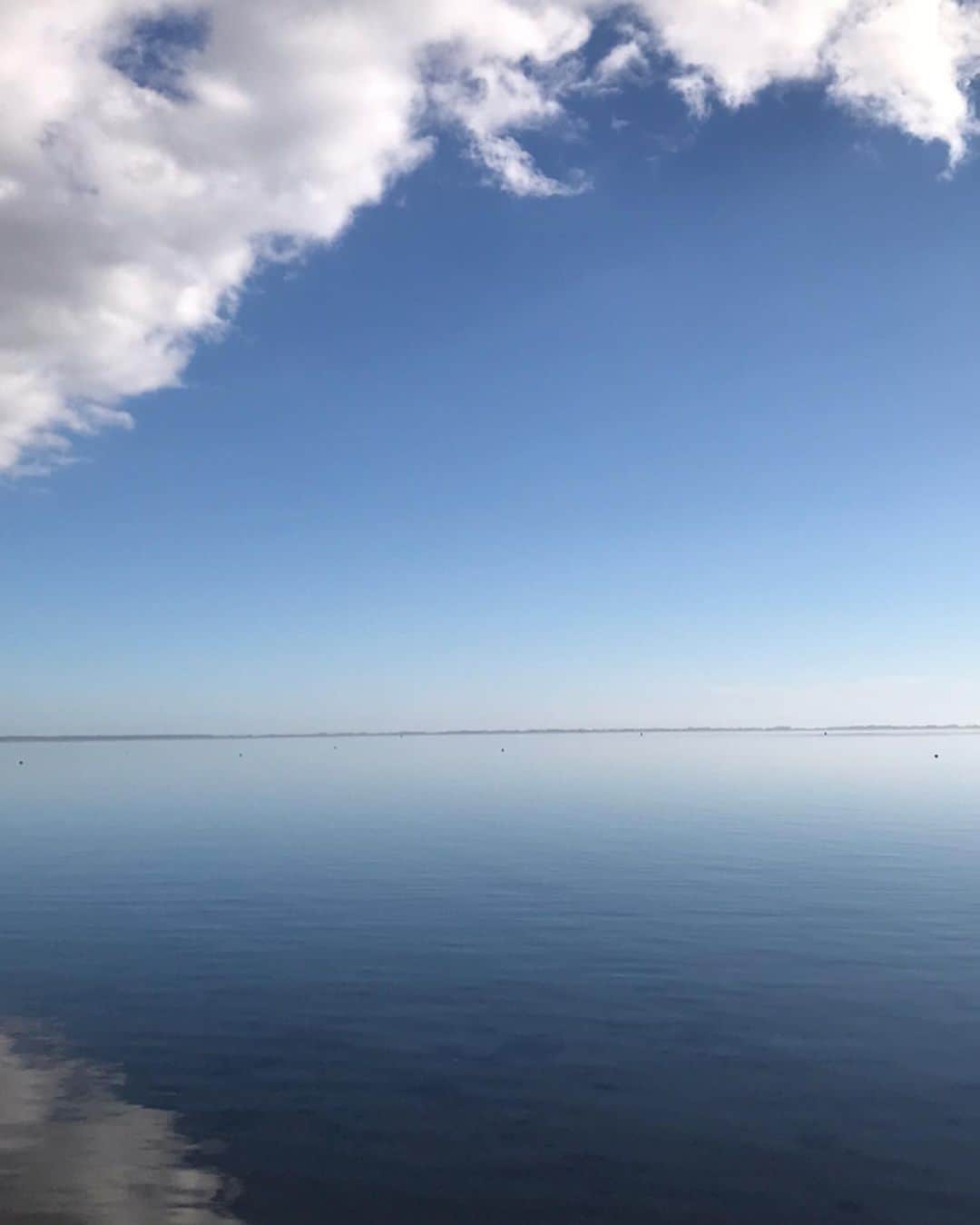 アディクションのインスタグラム：「Calming」