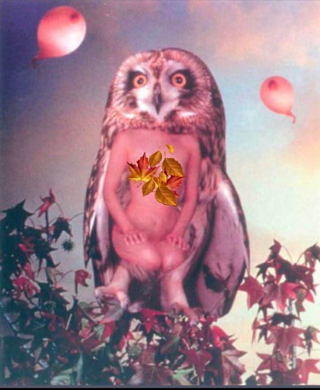 カテリーナ・スコーソンのインスタグラム：「To augurs, portents and time Raise a glass 2020 can kiss my ass #owlsofinstagram #readthebones #rise 🦉🖤🍁」