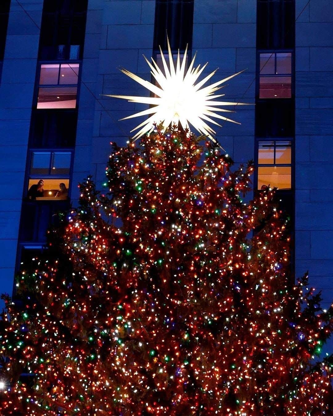 Primer Impactoさんのインスタグラム写真 - (Primer ImpactoInstagram)「🎄 El árbol de #Navidad del #RockefellerCenter ya está encendido en #NuevaYork 🙌🏼.  Es un abeto canadiense de casi 23 metros de alto y 11 toneladas de peso. Se iluminó con más de 50.000 luces LED multicolor.  En lo alto de la copa del árbol, posa una enorme estrella que fue diseñada en 2018 por el arquitecto Daniel Libeskind, y que está formada por unos tres millones de cristales Swarovski, por lo que su peso asciende a unos 400 kilos.  Este año, por el coronavirus, fue una ceremonia que solo pudieron ver en vivo un puñado de personas, mientras el resto de personas siguieron este evento por televisión.  📸 Jason Szenes/EFE/EPA.」12月4日 3時42分 - primerimpacto