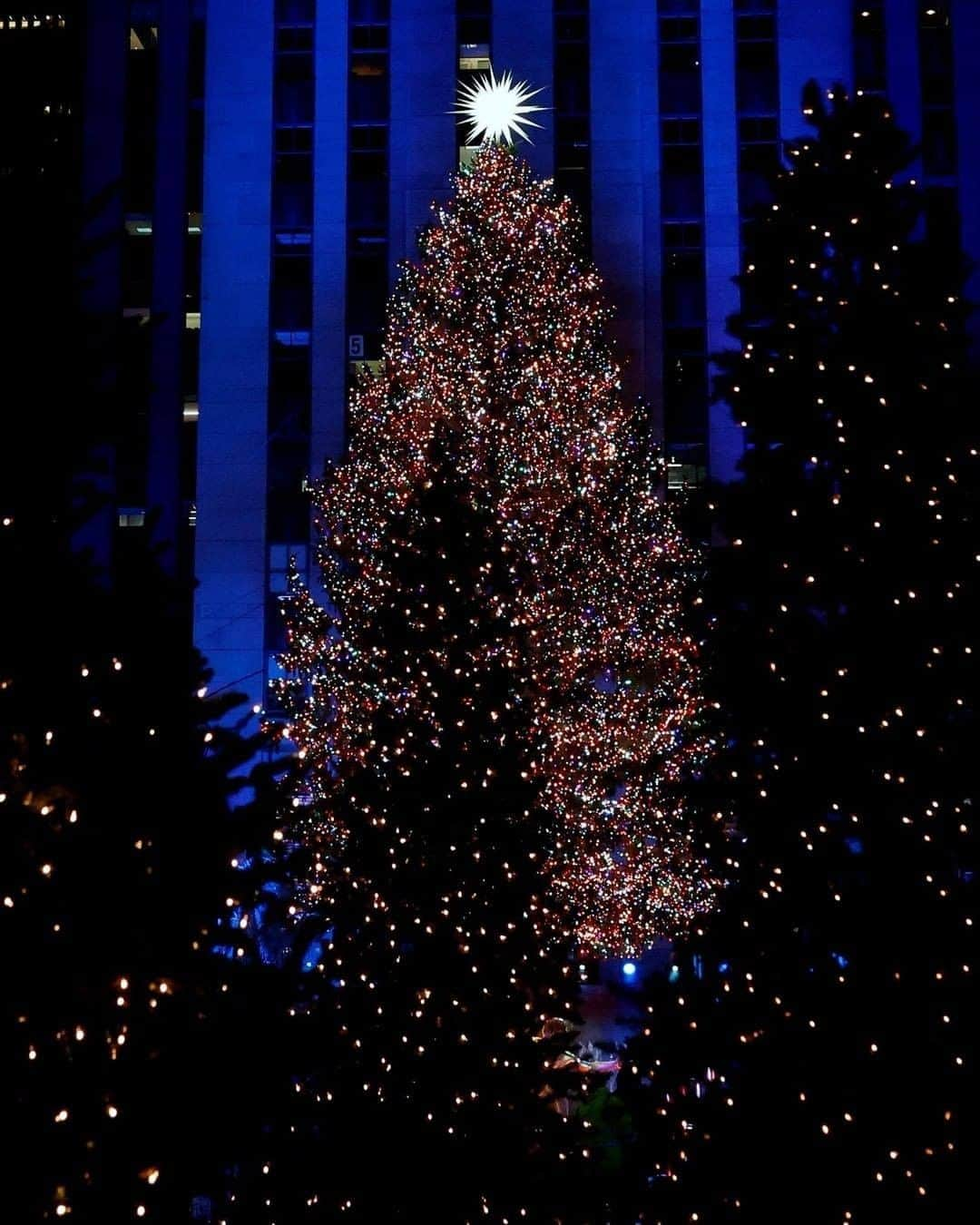 Primer Impactoさんのインスタグラム写真 - (Primer ImpactoInstagram)「🎄 El árbol de #Navidad del #RockefellerCenter ya está encendido en #NuevaYork 🙌🏼.  Es un abeto canadiense de casi 23 metros de alto y 11 toneladas de peso. Se iluminó con más de 50.000 luces LED multicolor.  En lo alto de la copa del árbol, posa una enorme estrella que fue diseñada en 2018 por el arquitecto Daniel Libeskind, y que está formada por unos tres millones de cristales Swarovski, por lo que su peso asciende a unos 400 kilos.  Este año, por el coronavirus, fue una ceremonia que solo pudieron ver en vivo un puñado de personas, mientras el resto de personas siguieron este evento por televisión.  📸 Jason Szenes/EFE/EPA.」12月4日 3時42分 - primerimpacto