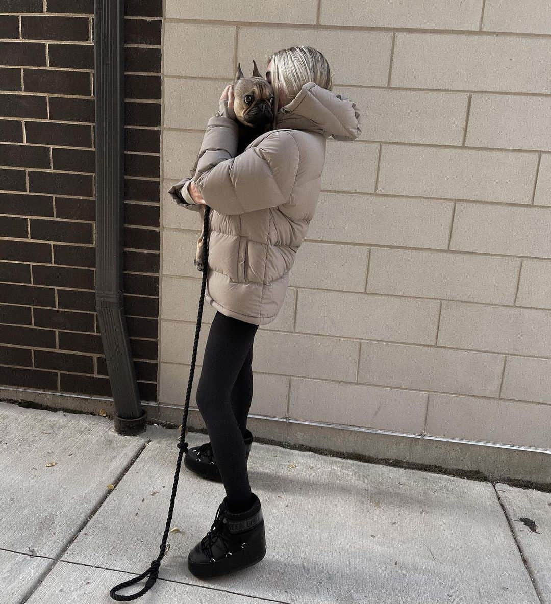 のインスタグラム：「nugget wants a puffer jacket ❄️⛄️」