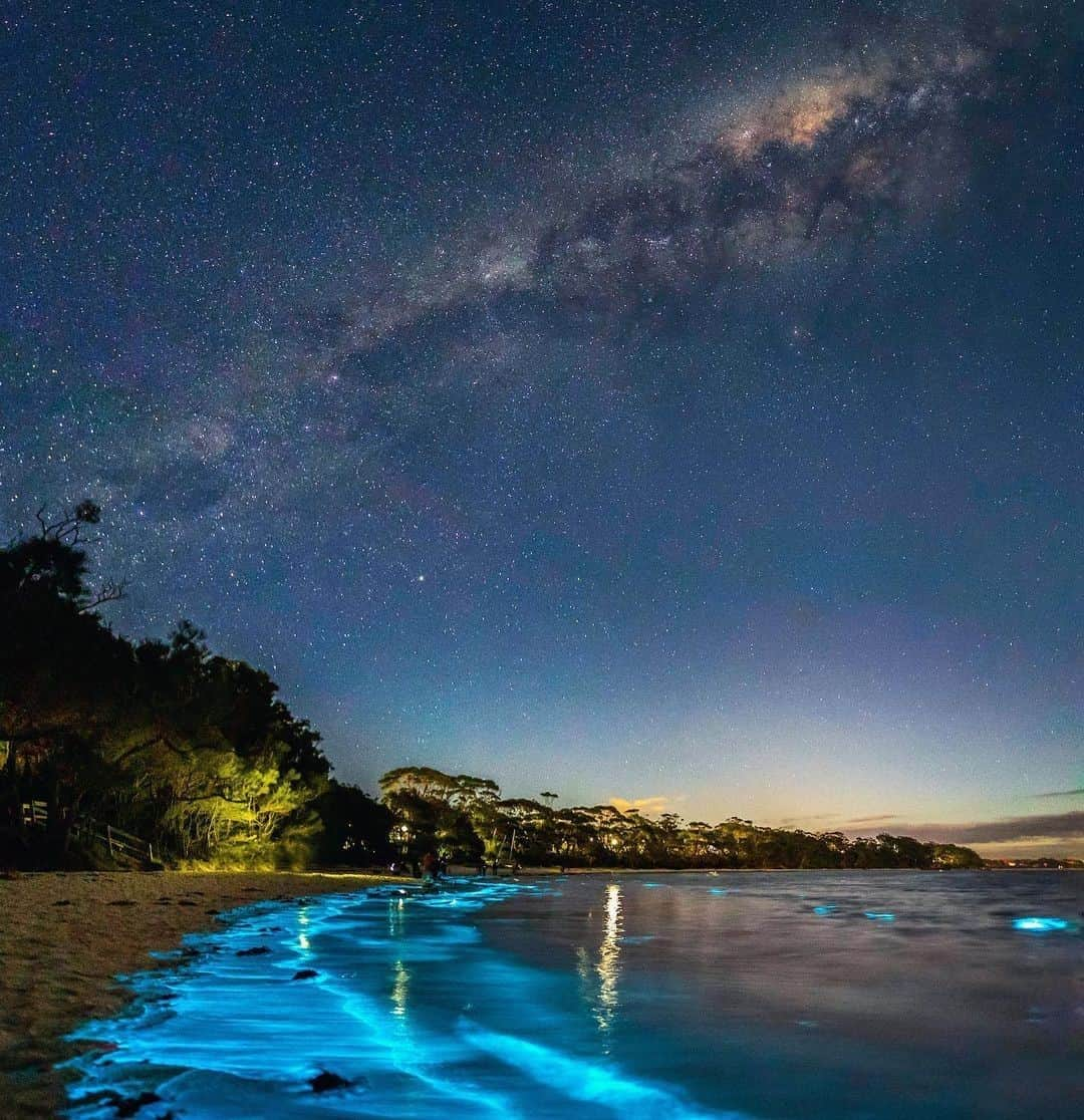 Australiaさんのインスタグラム写真 - (AustraliaInstagram)「Adding a little bit of magic to your day ✨ ✨ @timeflees captured the amazing sight of “sea sparkles”, or more scientifically, #Bioluminescence under the Milky Way in #JervisBay. This mysterious phenomenon is caused by a reaction within plankton which creates swirls of glowing blue along the beach. Not only is Jervis Bay in @visitnsw famous for its white sands, crystal clear waters, resident dolphins and the visiting humpback whales, it’s also one of the best places in Australia to see this magical sight. Pretty special, huh? #seeaustralia #LoveNSW #NewSouthWales #southcoastnsw #holidayherethisyear」12月4日 4時00分 - australia