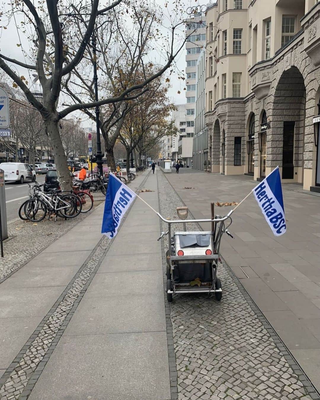 ヘルタ・ベルリンのインスタグラム：「#Fahnenmeer meets real life! Wir feiern euch. 💙 . . #BSCFCU #HaHoHe #herthabsc」