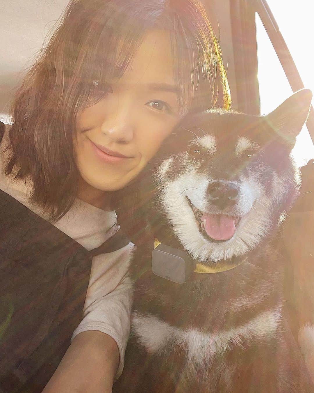 W E Y L I Eのインスタグラム：「My girl 🌸 The furs around her eyes are getting whiter with every year. Time is flying by so fast! I wish dogs didn’t get old 🥺 Here’s a reminder to cherish everyday and to make time for them ❤️ It makes me so happy when Michi looks out the window and wags uncontrollably when she sees the outdoors. She wags so hard that her entire booty shakes 😂 Those are the moments I think she waits for whenever we’re working and she’s quietly waiting for us on her bed.   I hope this is a reminder for all of us to slow down sometimes and remember our fur babies are patiently waiting for us to make time for them ❤️」