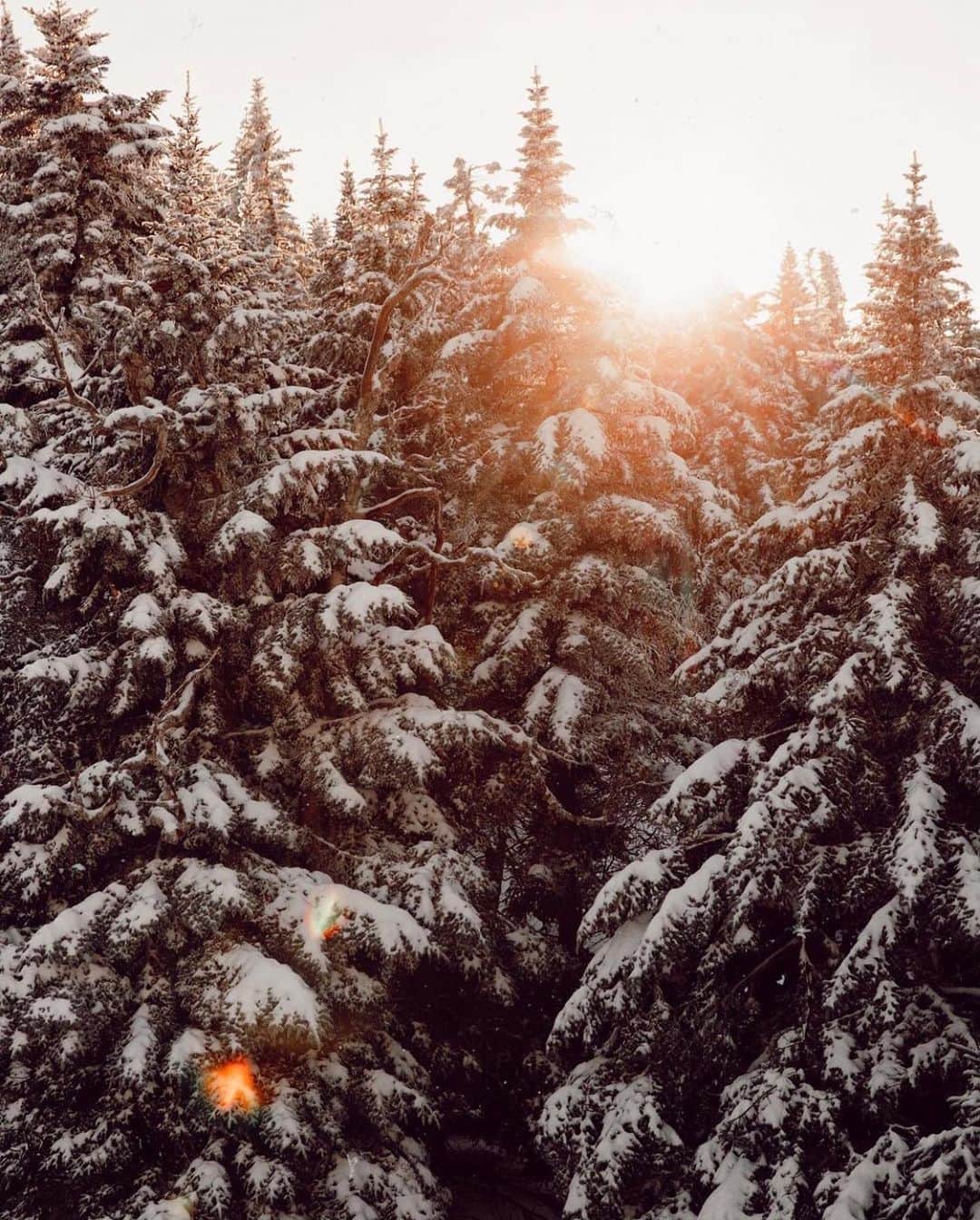 FOLKのインスタグラム：「This warm light has me feeling some type of way. Today’s favorites: 1.) @jessolm 2.) @robicasso 3.) @kuscheiart 4.) @sven.visuals 5.) @rehpix 6.) @charlysavely」